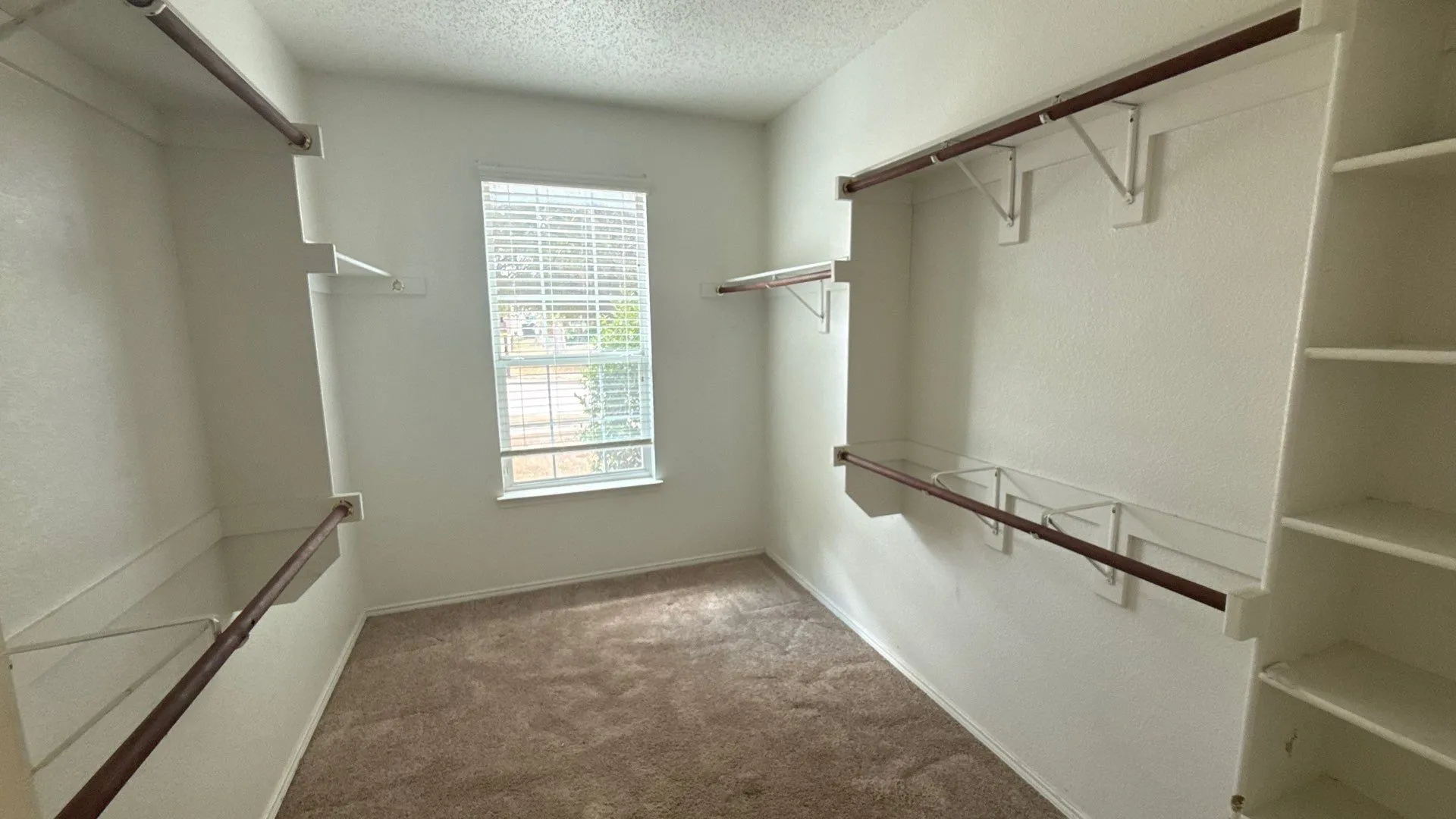 Windowed closet featuring carpeted flooring and built-in shelving and hanging rods