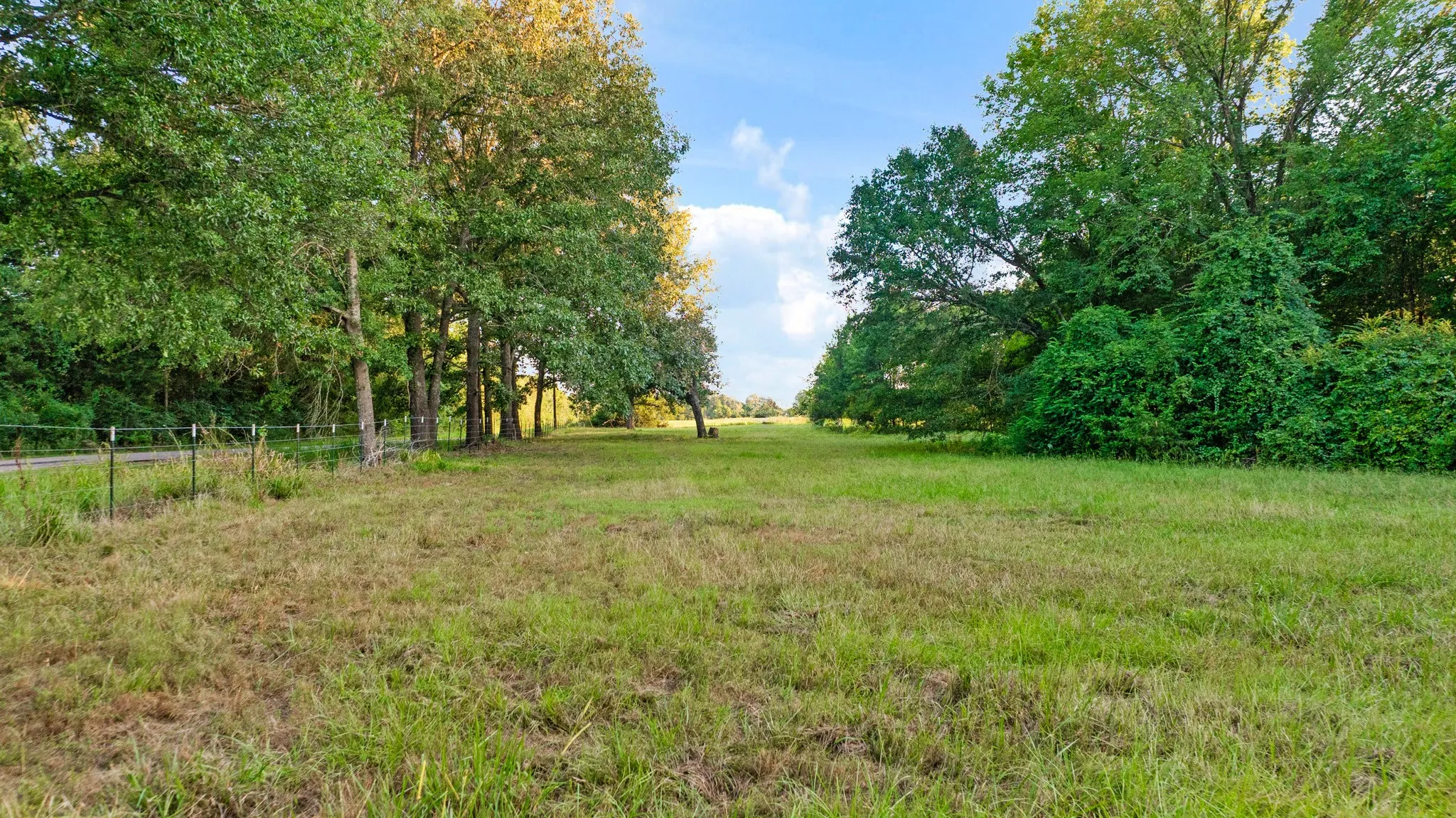 Front of property facing the county road with scattered trees providing privacy and a perimeter fence