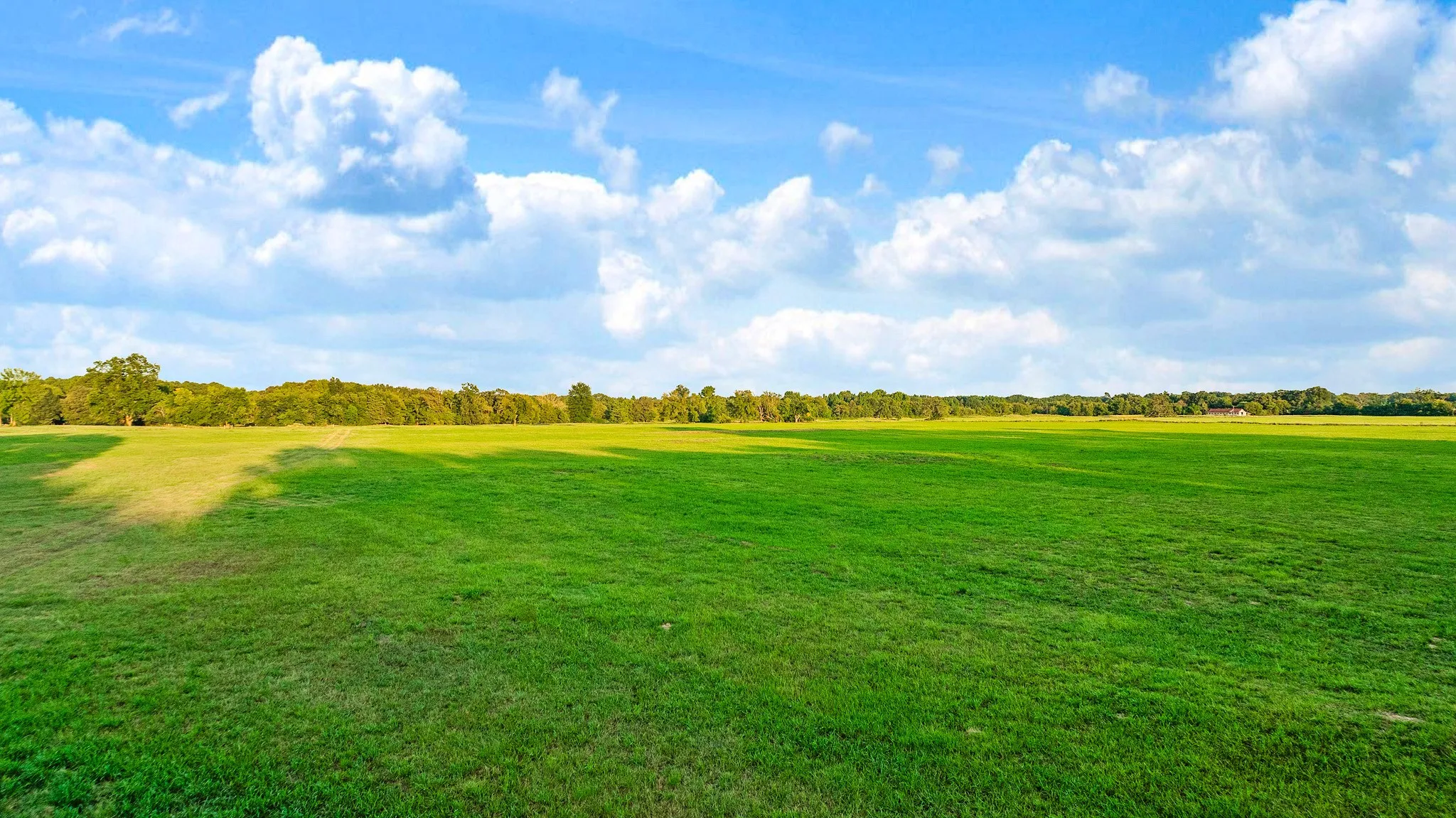 Unimproved Land For Sale in Red River (TX) County , 721 CR 2127, Detroit, Texas 75438, 0, 0, Garage spaces, 0 Sqft, built in 0, mls#21390474, Real Estate Agent in Detroit, Homes For Sale in Red River (TX) county, Homes For Sale in Detroit, Realtor in Detroit Texas, Real Estate Brokerage Independent Realty Texas, Luminita Cordes Realtor