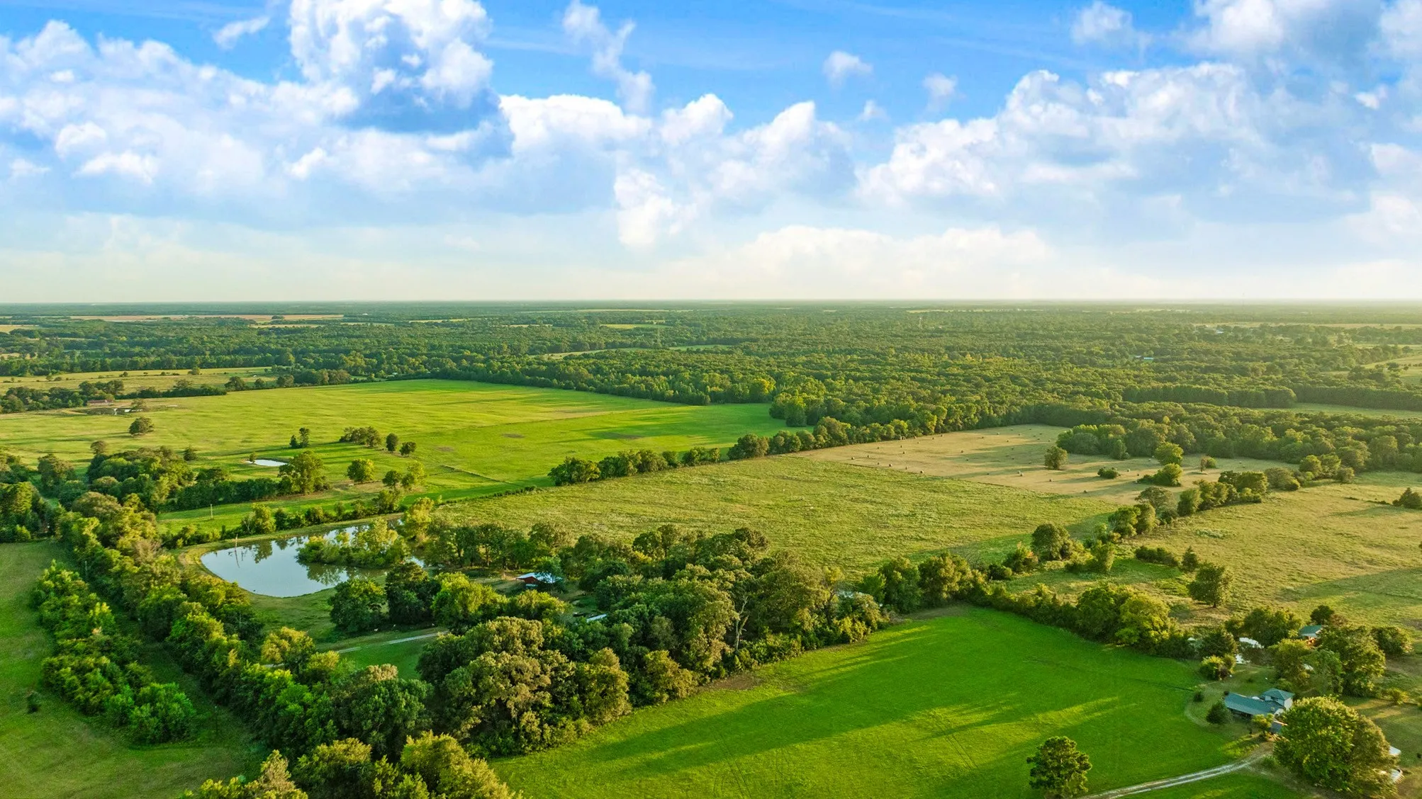 Unimproved Land For Sale in Red River (TX) County , 721 CR 2127, Detroit, Texas 75438, 0, 0, Garage spaces, 0 Sqft, built in 0, mls#21390474, Real Estate Agent in Detroit, Homes For Sale in Red River (TX) county, Homes For Sale in Detroit, Realtor in Detroit Texas, Real Estate Brokerage Independent Realty Texas, Luminita Cordes Realtor