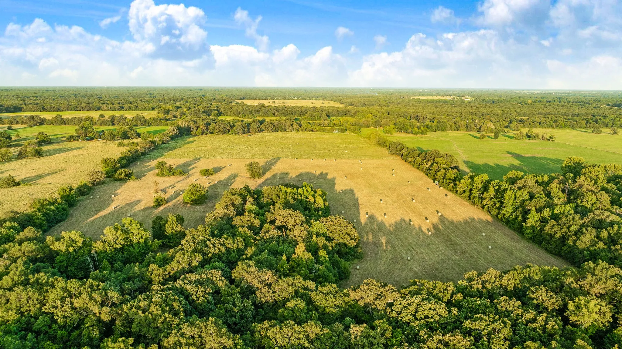 Expansive land featuring lush green fields and mature trees