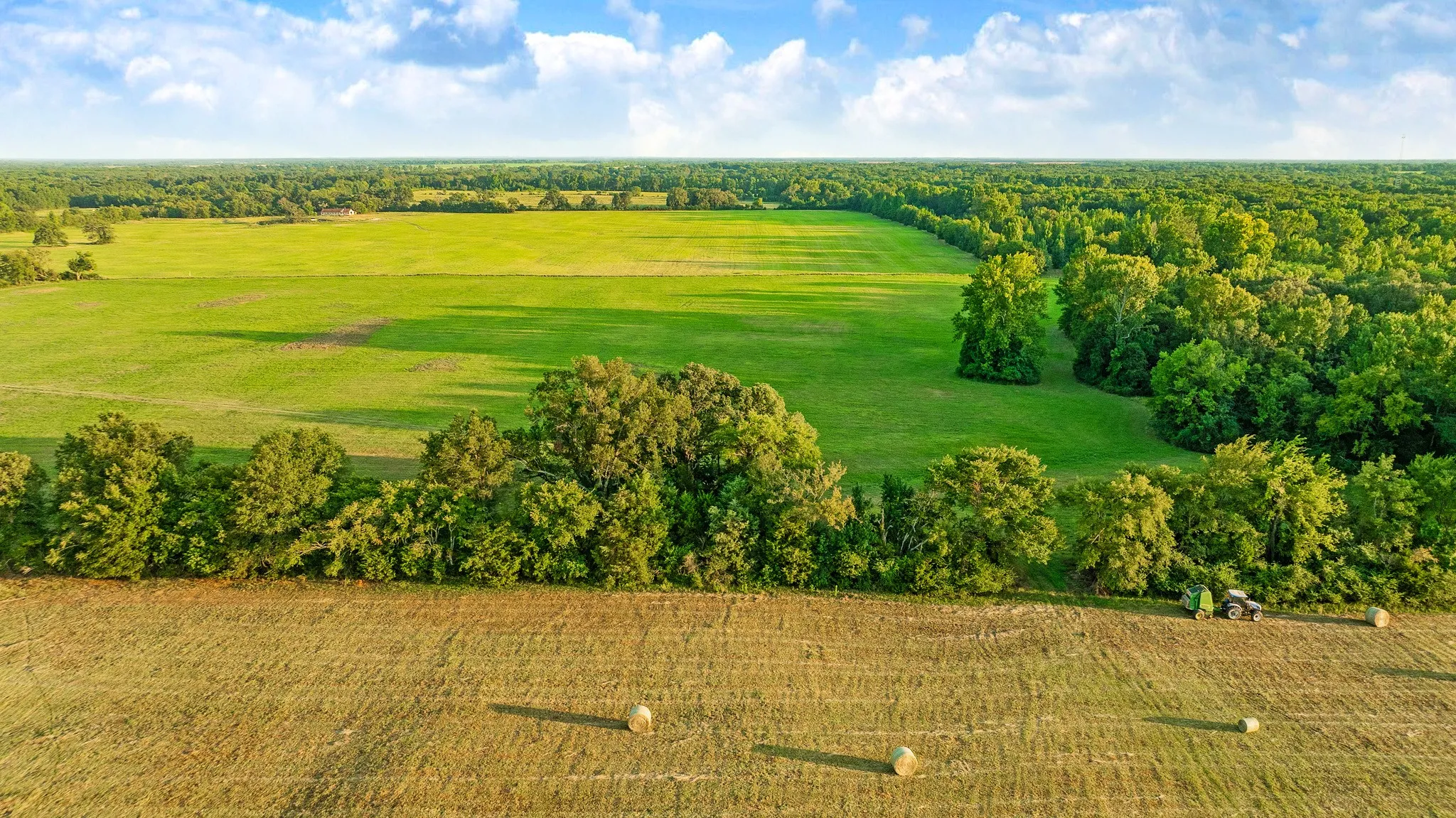 Expansive green fields bordered by mature tree lines