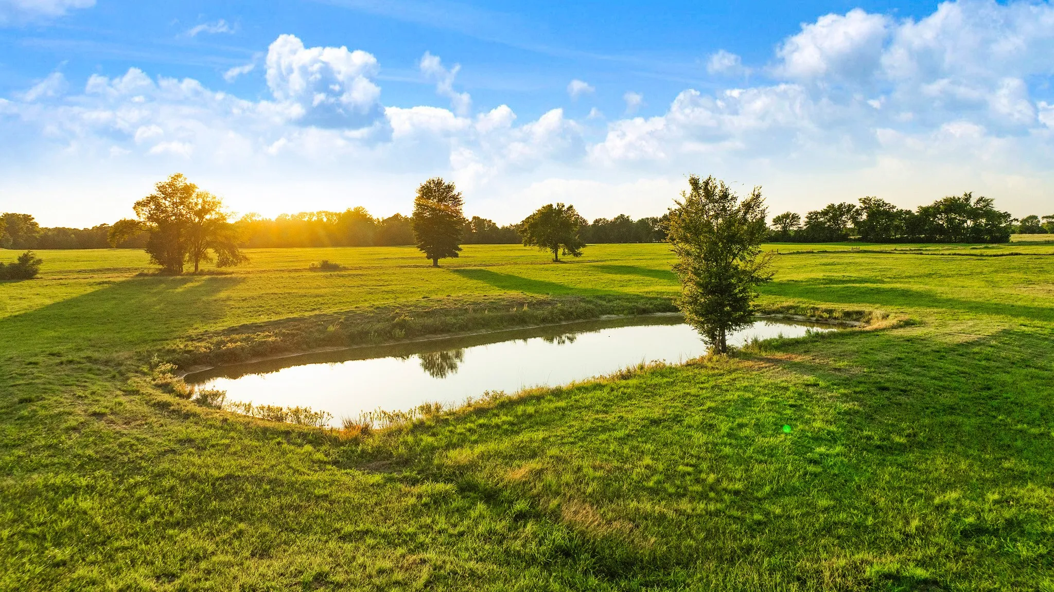 Expansive green fields featuring a natural pond and mature trees