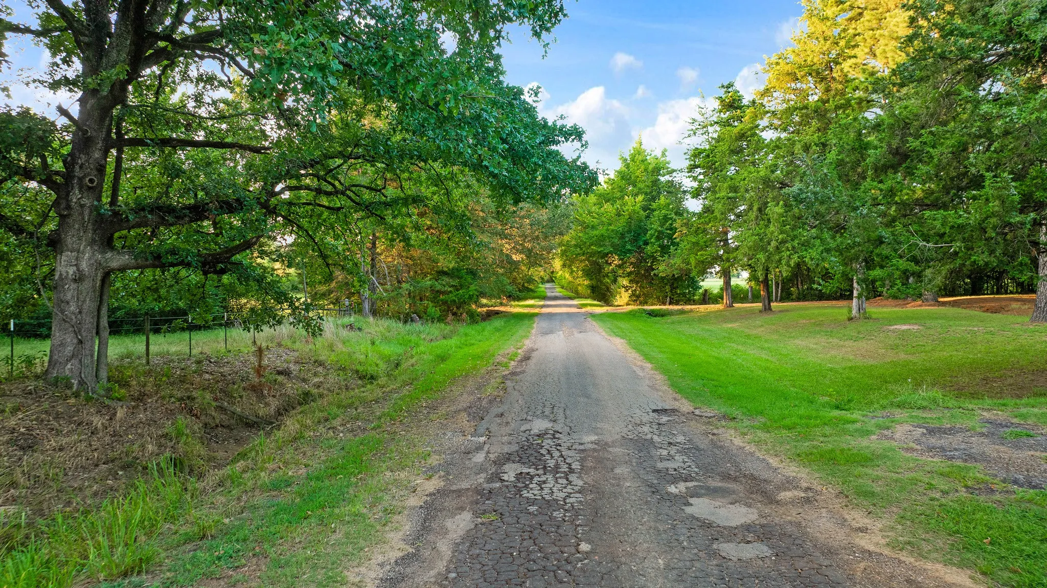 County road bordered by mature trees and natural landscaping