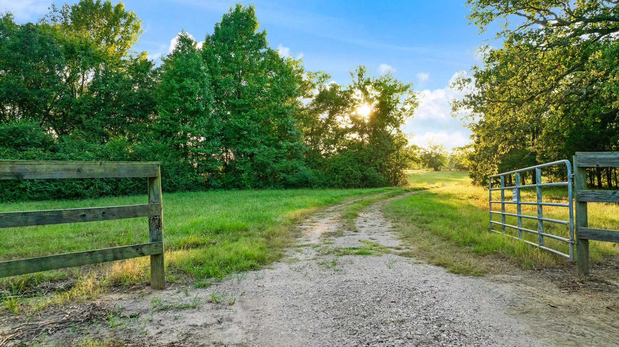Gravel drive leading to an expansive grassy field, bordered by mature trees and a wooden fence with a metal gate