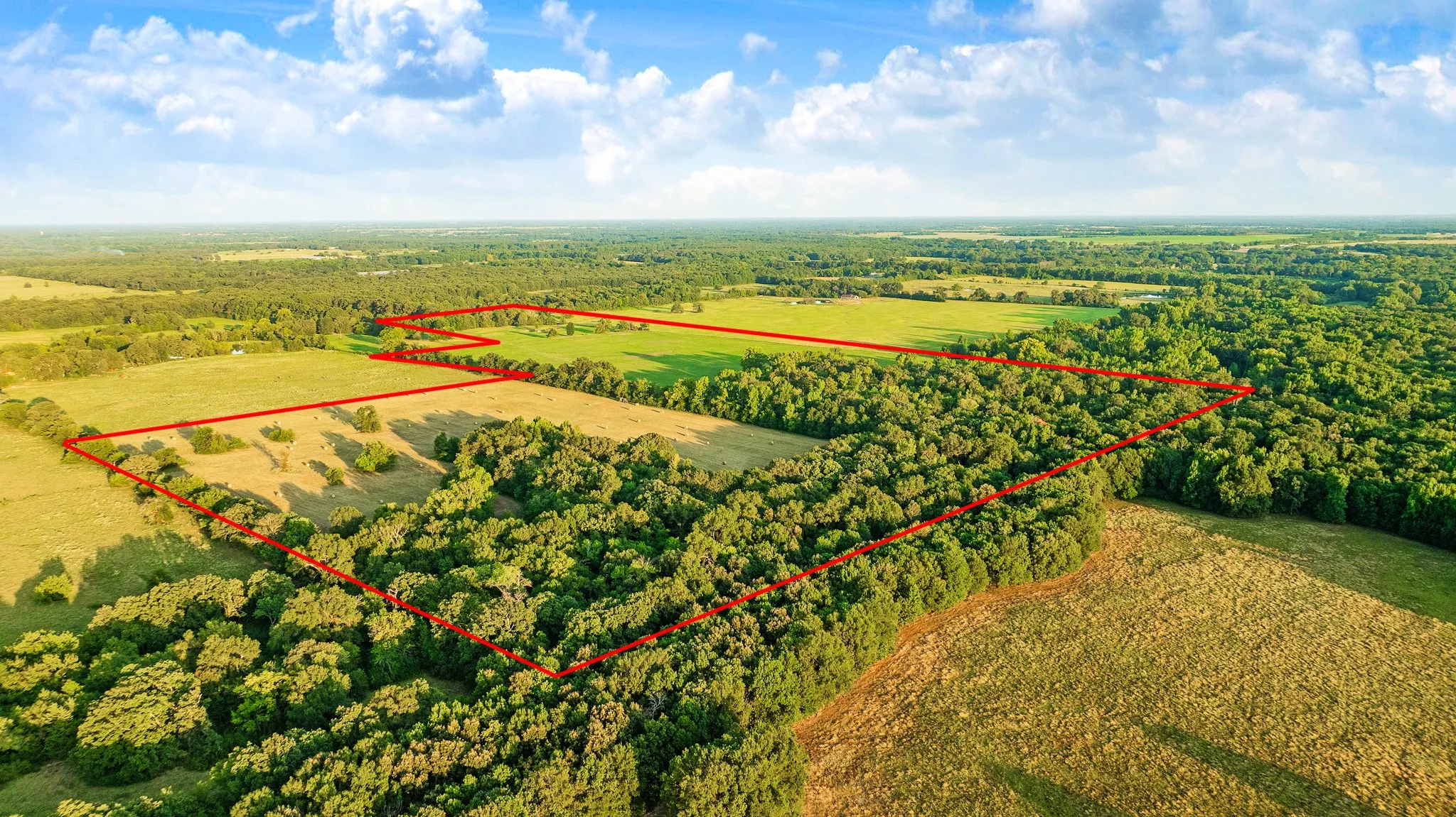 Unimproved Land For Sale in Red River (TX) County , 721 CR 2127, Detroit, Texas 75438, 0, 0, Garage spaces, 0 Sqft, built in 0, mls#21390474, Real Estate Agent in Detroit, Homes For Sale in Red River (TX) county, Homes For Sale in Detroit, Realtor in Detroit Texas, Real Estate Brokerage Independent Realty Texas, Luminita Cordes Realtor