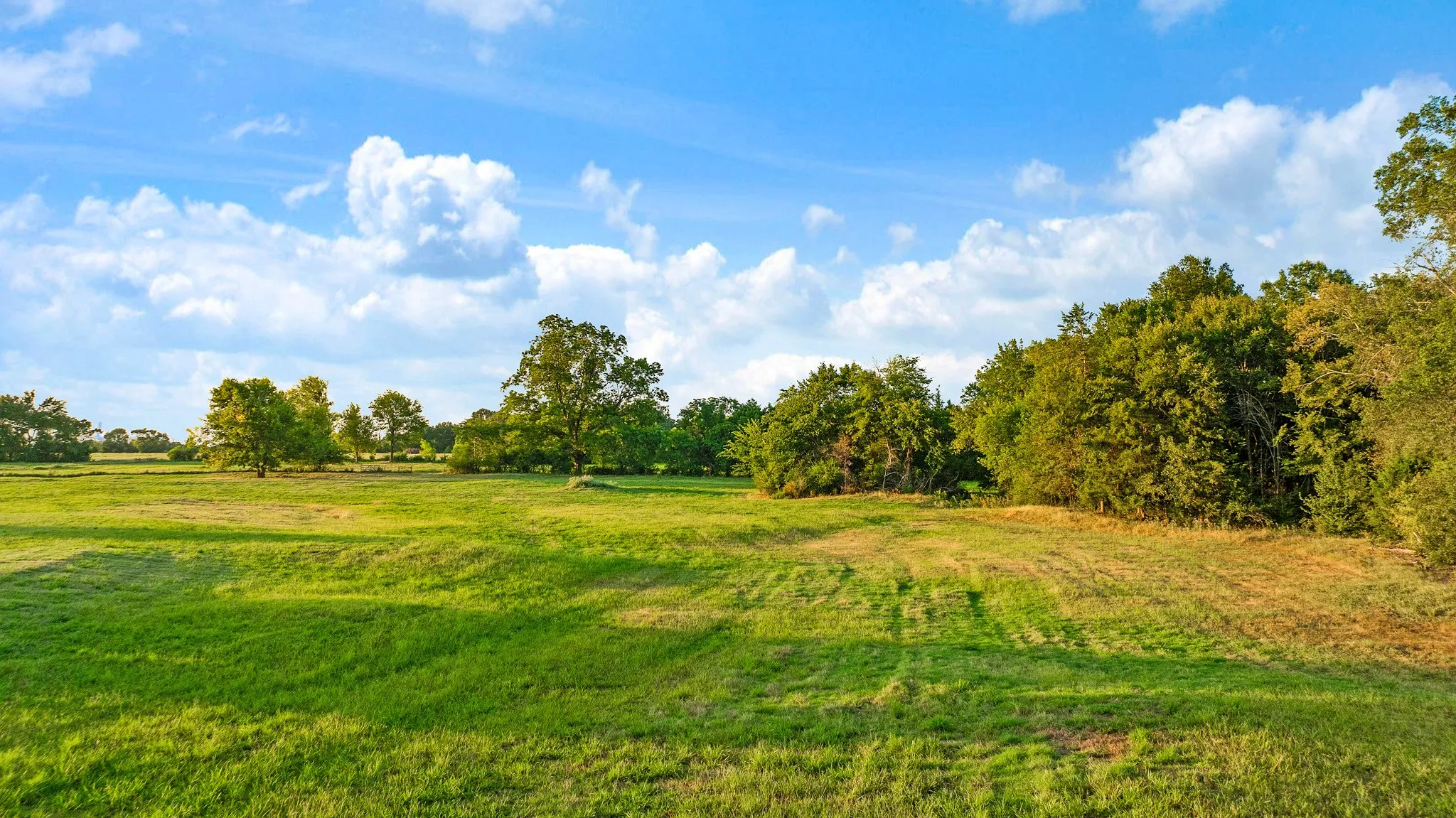 Unimproved Land For Sale in Red River (TX) County , 721 CR 2127, Detroit, Texas 75438, 0, 0, Garage spaces, 0 Sqft, built in 0, mls#21390474, Real Estate Agent in Detroit, Homes For Sale in Red River (TX) county, Homes For Sale in Detroit, Realtor in Detroit Texas, Real Estate Brokerage Independent Realty Texas, Luminita Cordes Realtor