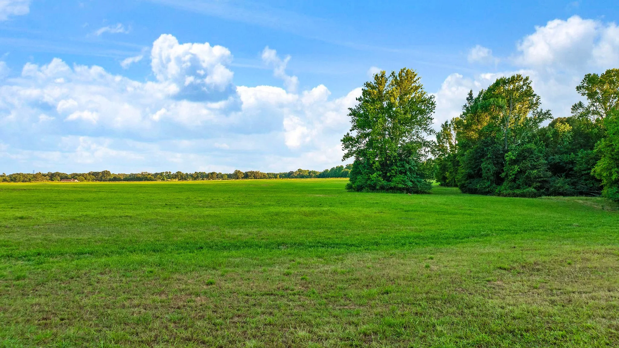 Unimproved Land For Sale in Red River (TX) County , 721 CR 2127, Detroit, Texas 75438, 0, 0, Garage spaces, 0 Sqft, built in 0, mls#21390474, Real Estate Agent in Detroit, Homes For Sale in Red River (TX) county, Homes For Sale in Detroit, Realtor in Detroit Texas, Real Estate Brokerage Independent Realty Texas, Luminita Cordes Realtor