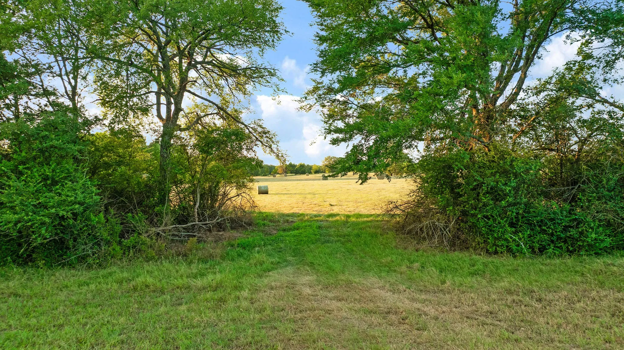 Expansive grassy area framed by mature trees, opening to a sunlit field with hay bales