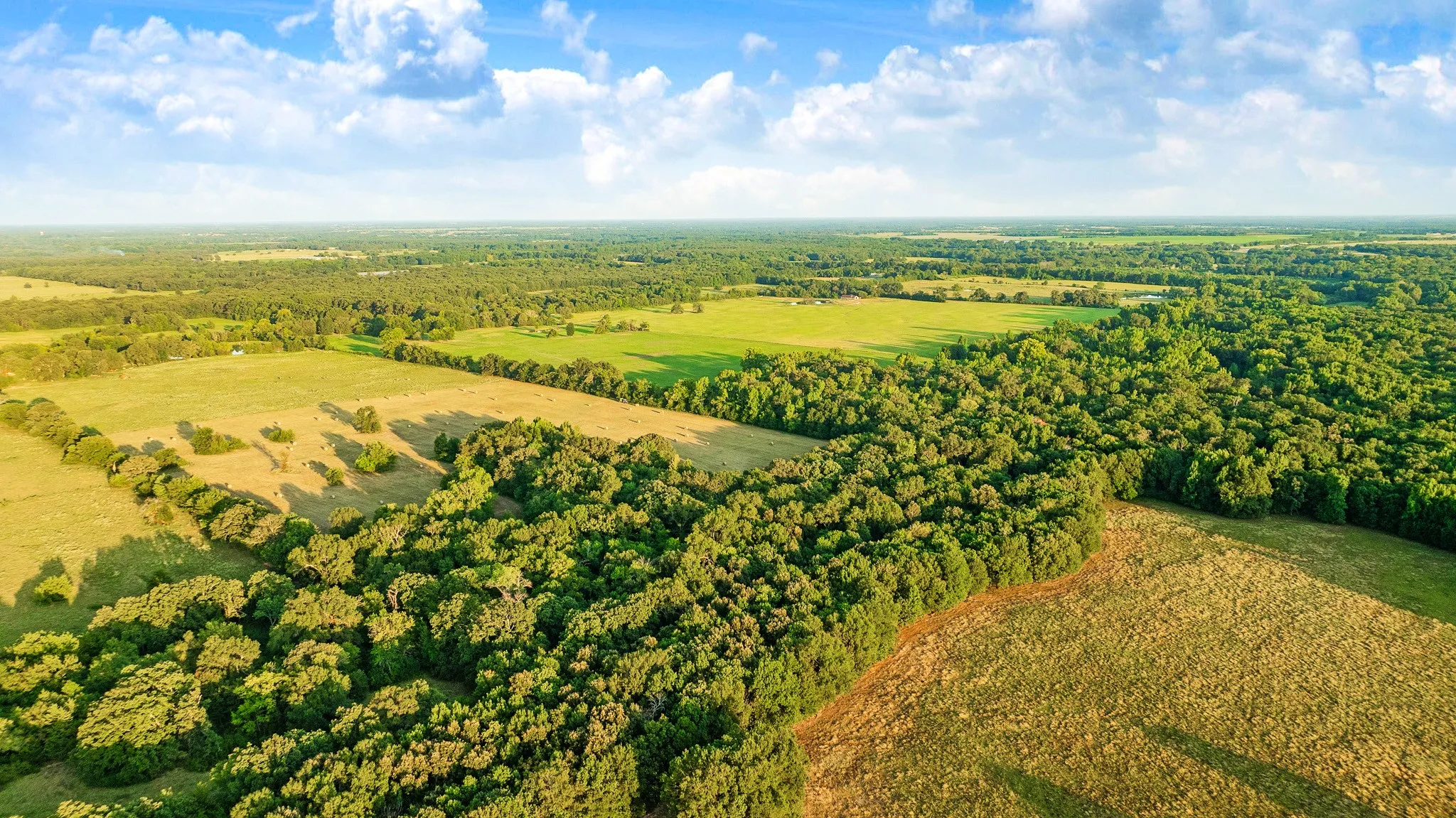 Unimproved Land For Sale in Red River (TX) County , 721 CR 2127, Detroit, Texas 75438, 0, 0, Garage spaces, 0 Sqft, built in 0, mls#21390474, Real Estate Agent in Detroit, Homes For Sale in Red River (TX) county, Homes For Sale in Detroit, Realtor in Detroit Texas, Real Estate Brokerage Independent Realty Texas, Luminita Cordes Realtor