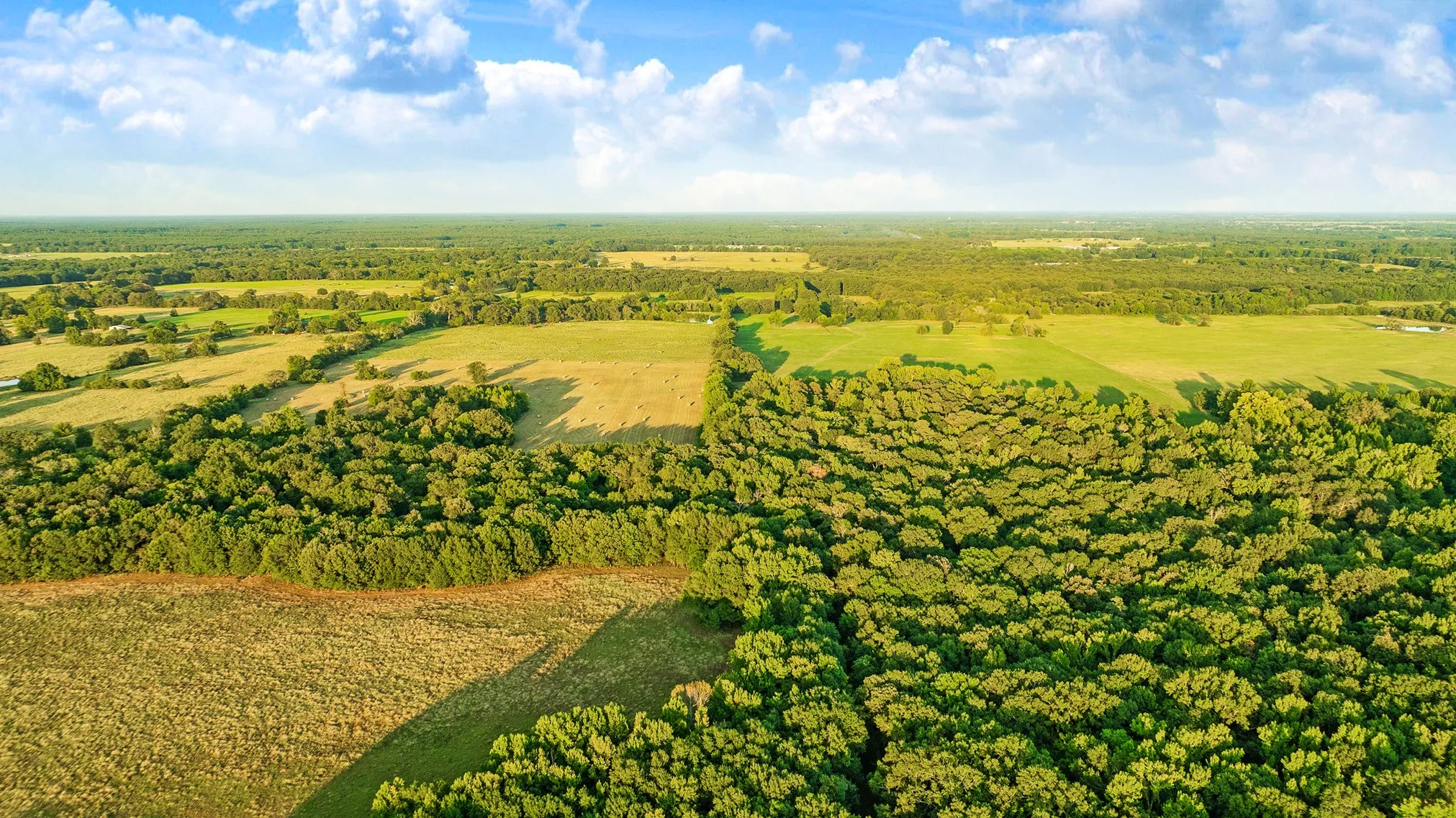 Unimproved Land For Sale in Red River (TX) County , 721 CR 2127, Detroit, Texas 75438, 0, 0, Garage spaces, 0 Sqft, built in 0, mls#21390474, Real Estate Agent in Detroit, Homes For Sale in Red River (TX) county, Homes For Sale in Detroit, Realtor in Detroit Texas, Real Estate Brokerage Independent Realty Texas, Luminita Cordes Realtor