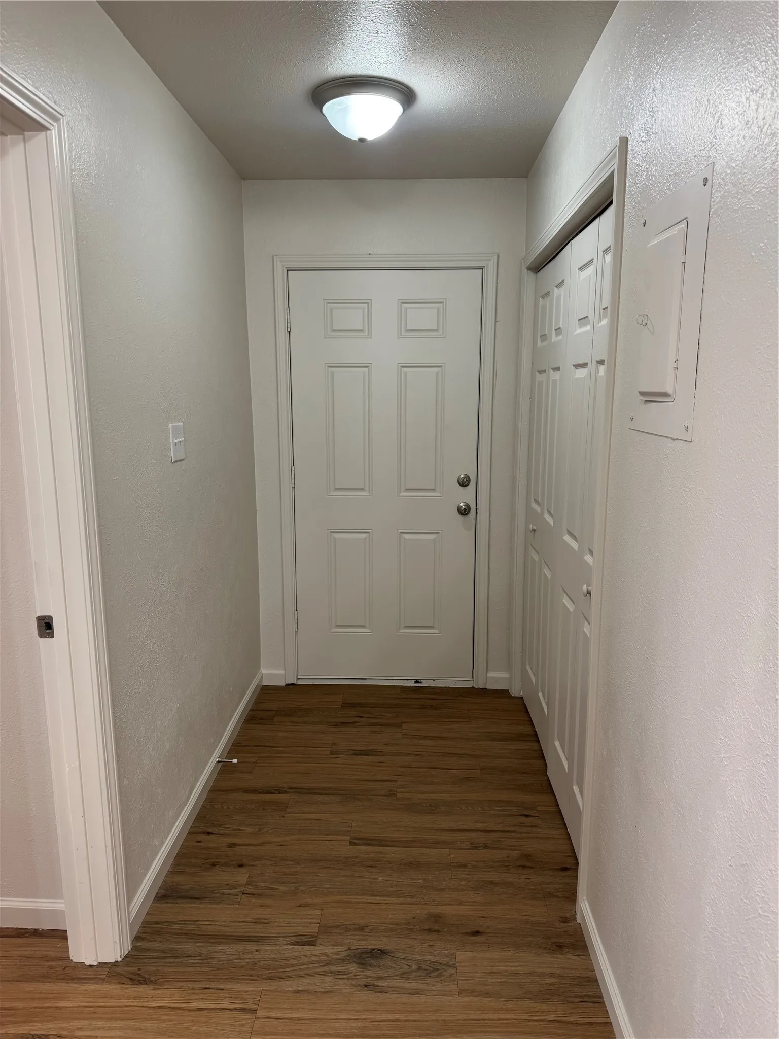 Entryway featuring wood-finish flooring, a flush-mount ceiling light, and a paneled door