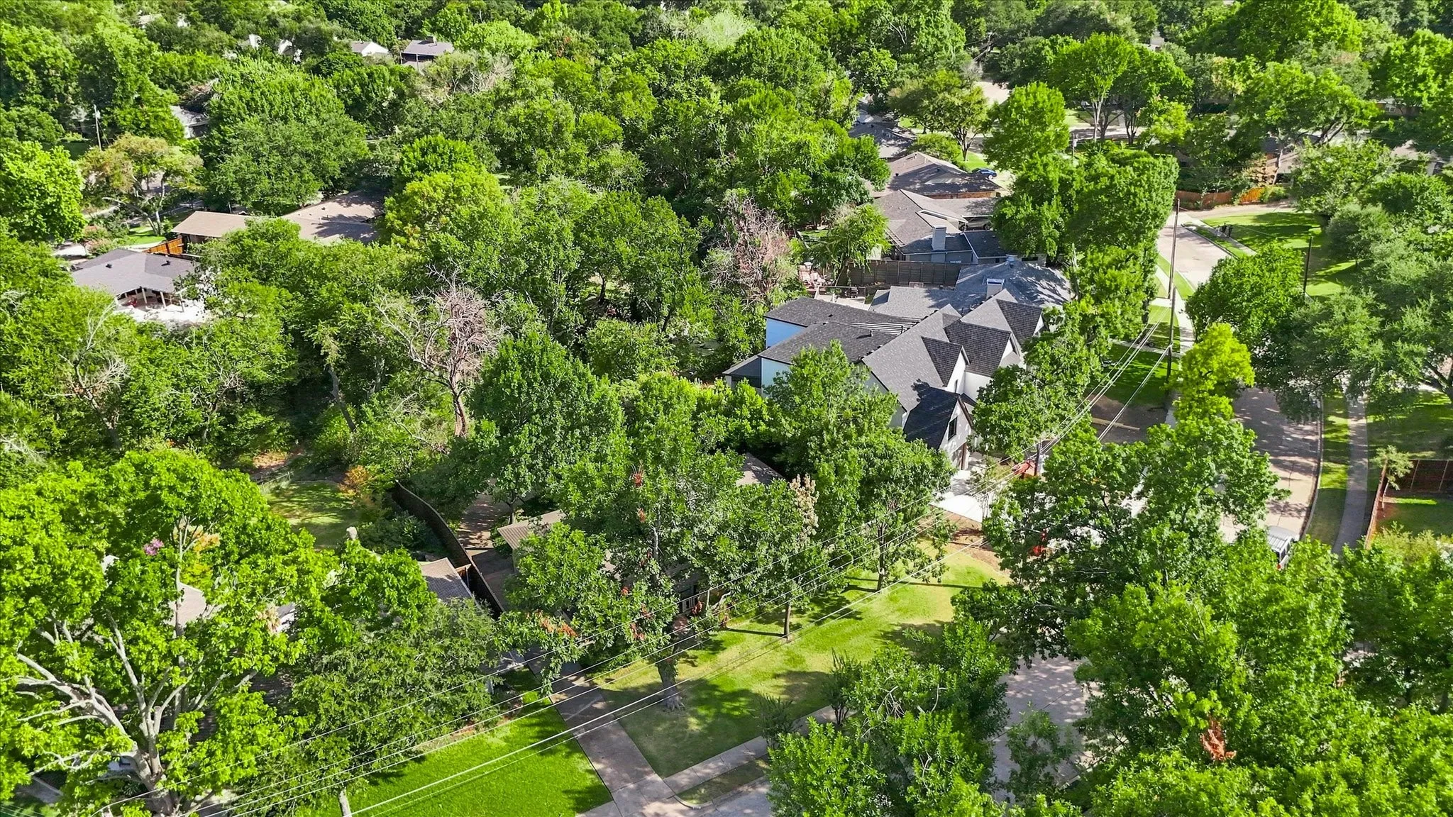 Spectacular Lot to Frame Your Beautiful Home!