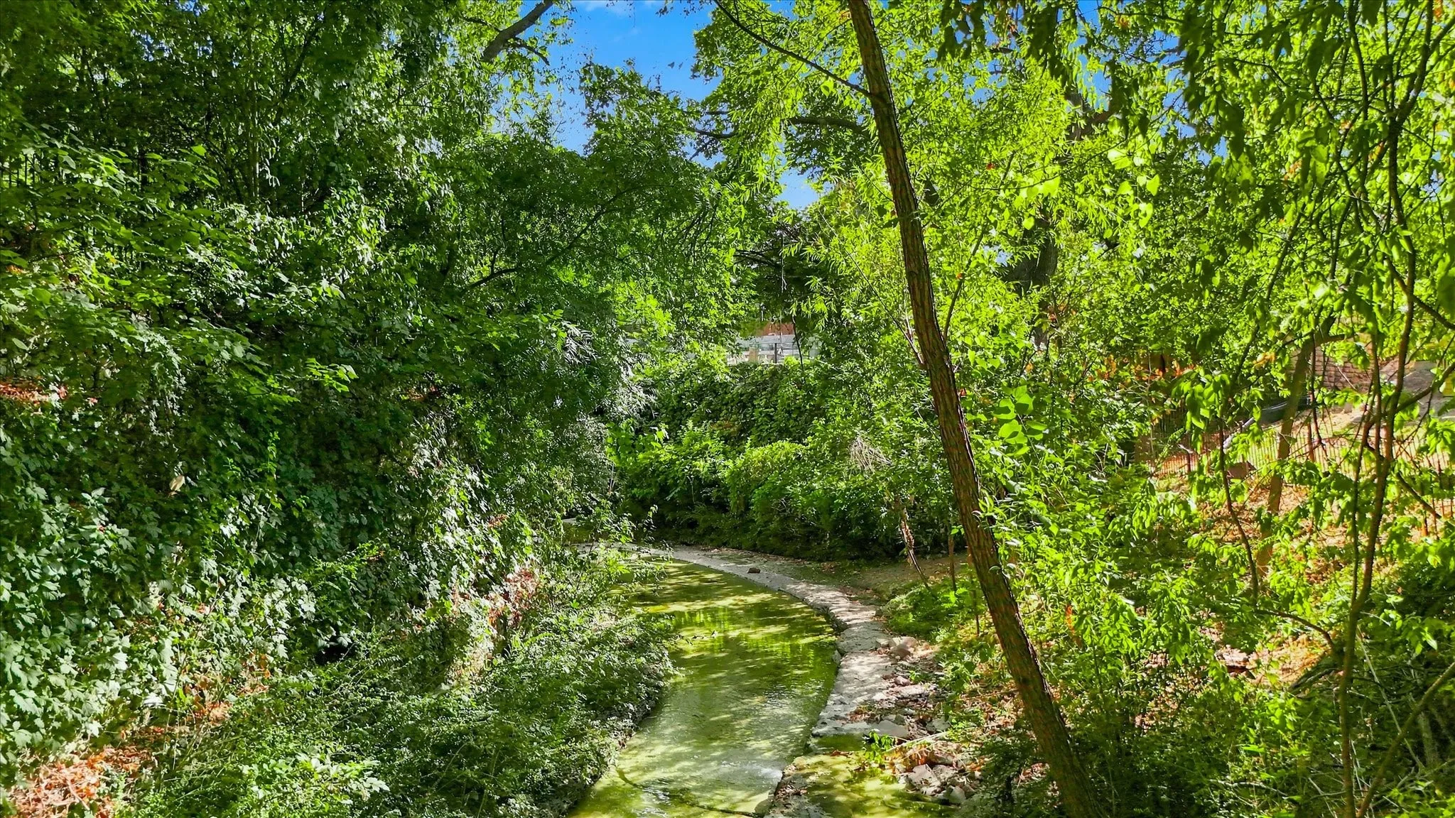 The Creek!  Your Slice of Texas Breauty!