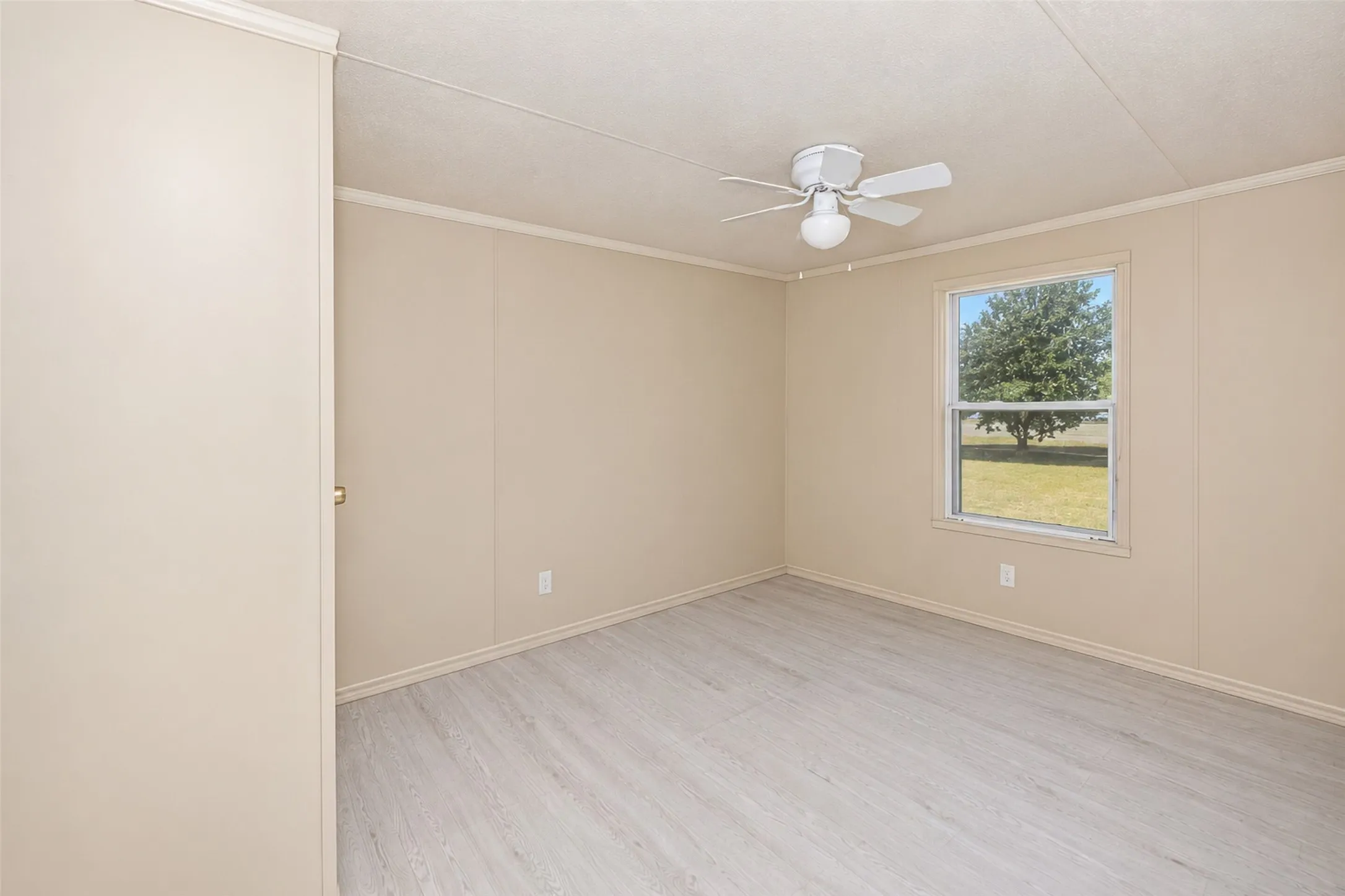 Light wood-finish flooring, single window, and ceiling fan
