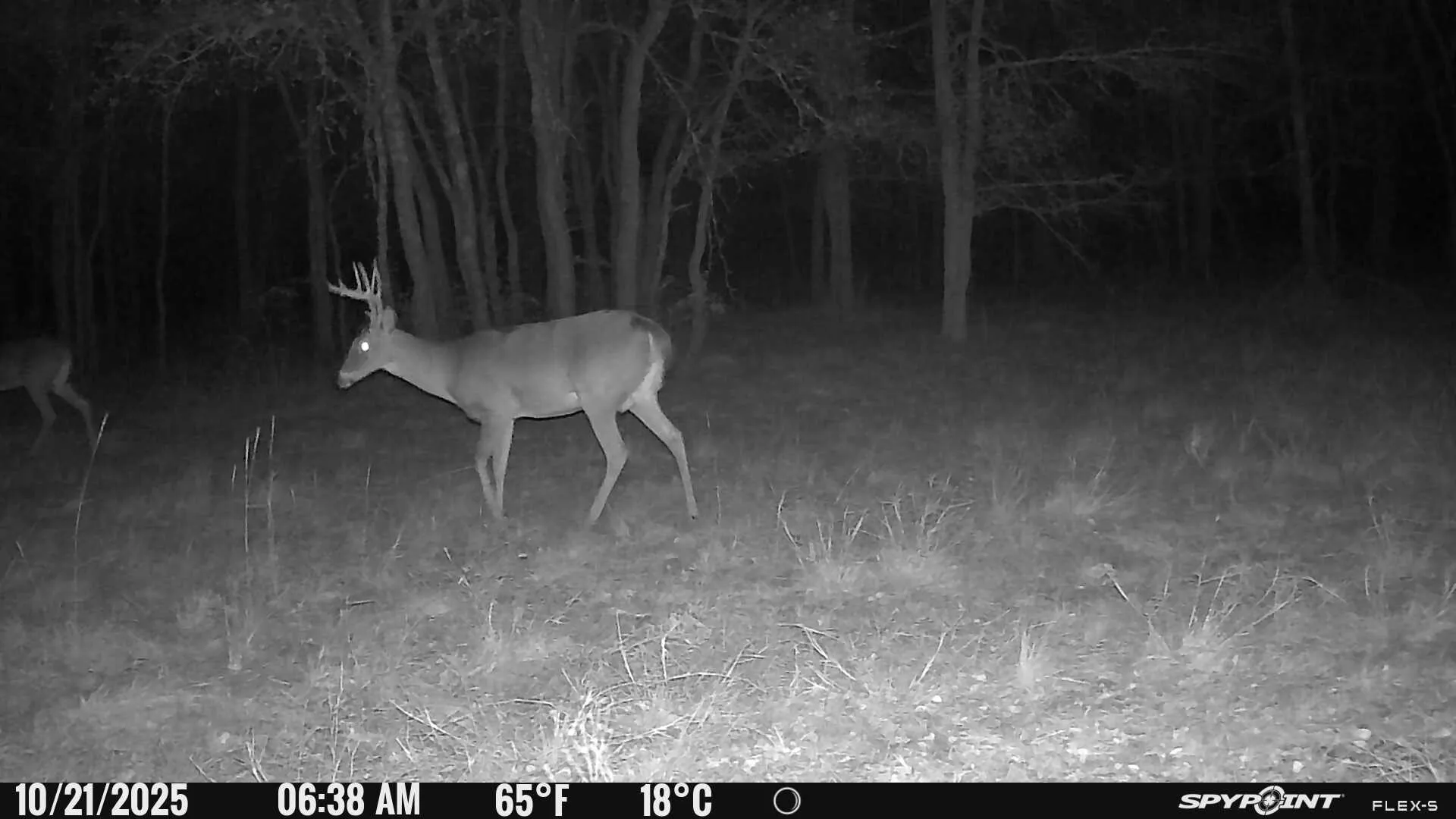 Game Camera
