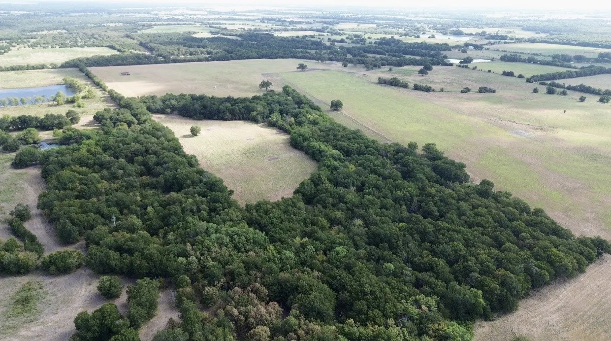 Improved Land For Sale in Hunt County , 4587 County Road 1134, Leonard, Texas 75452, 0, 0, Garage spaces, 0 Sqft, built in 0, mls#21379227, Real Estate Agent in Leonard, Homes For Sale in Hunt county, Homes For Sale in Leonard, Realtor in Leonard Texas, Real Estate Brokerage Independent Realty Texas, Luminita Cordes Realtor