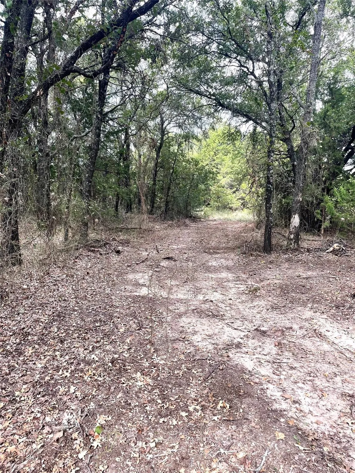 Ranch For Sale in Montague County , 334 Greanead Road, Forestburg, Texas 76239, 0, 0, Garage spaces, 0 Sqft, built in 0, mls#21391063, Real Estate Agent in Forestburg, Homes For Sale in Montague county, Homes For Sale in Forestburg, Realtor in Forestburg Texas, Real Estate Brokerage Independent Realty Texas, Luminita Cordes Realtor