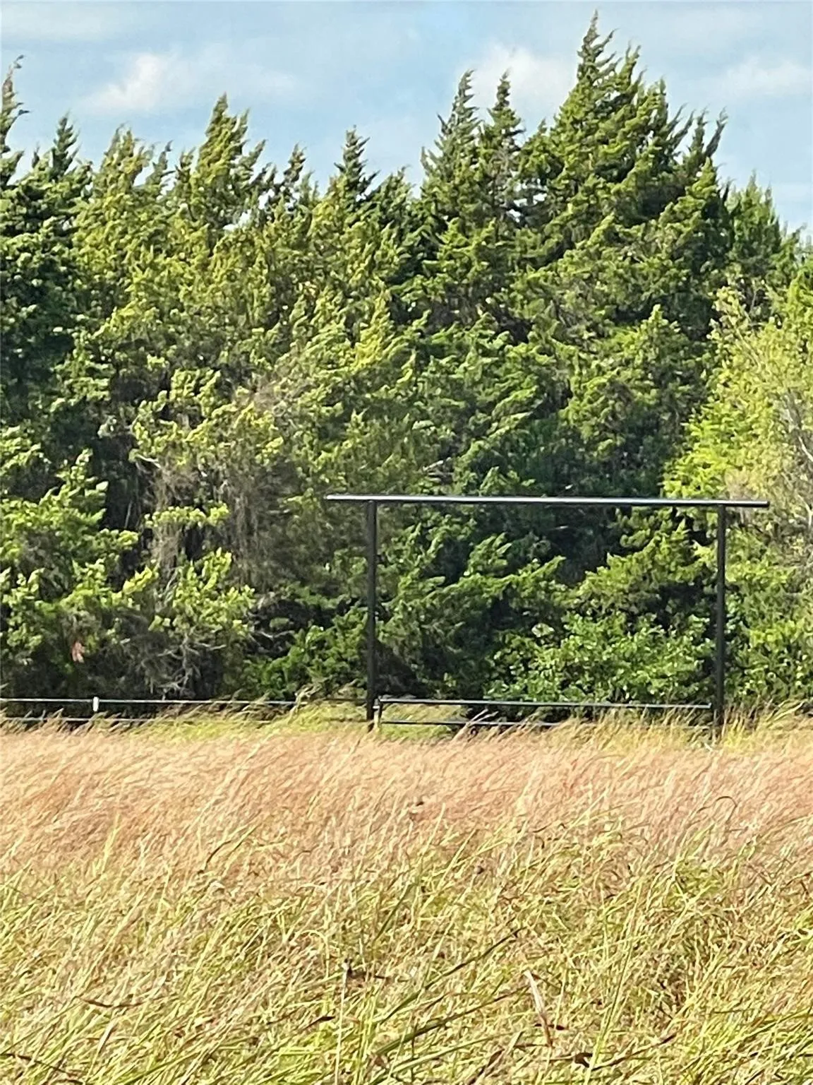 Ranch For Sale in Montague County , 334 Greanead Road, Forestburg, Texas 76239, 0, 0, Garage spaces, 0 Sqft, built in 0, mls#21391063, Real Estate Agent in Forestburg, Homes For Sale in Montague county, Homes For Sale in Forestburg, Realtor in Forestburg Texas, Real Estate Brokerage Independent Realty Texas, Luminita Cordes Realtor