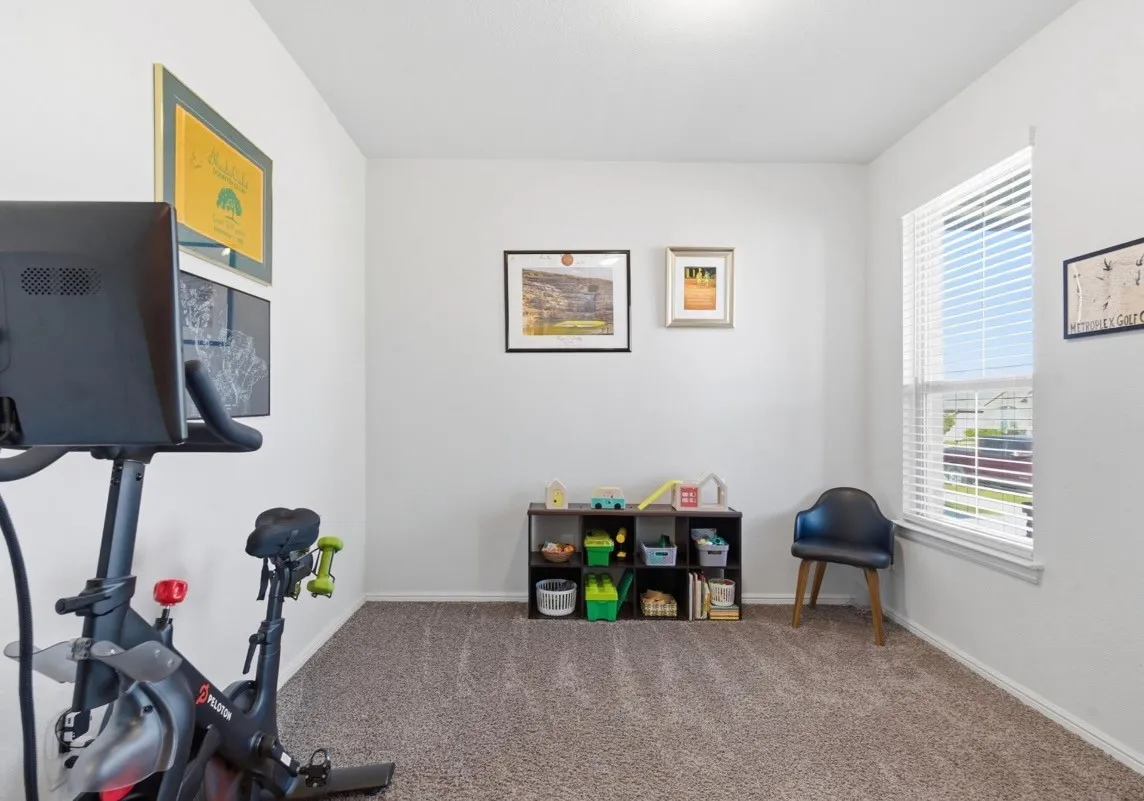 Neutral wall color, window with blinds, and carpet flooring