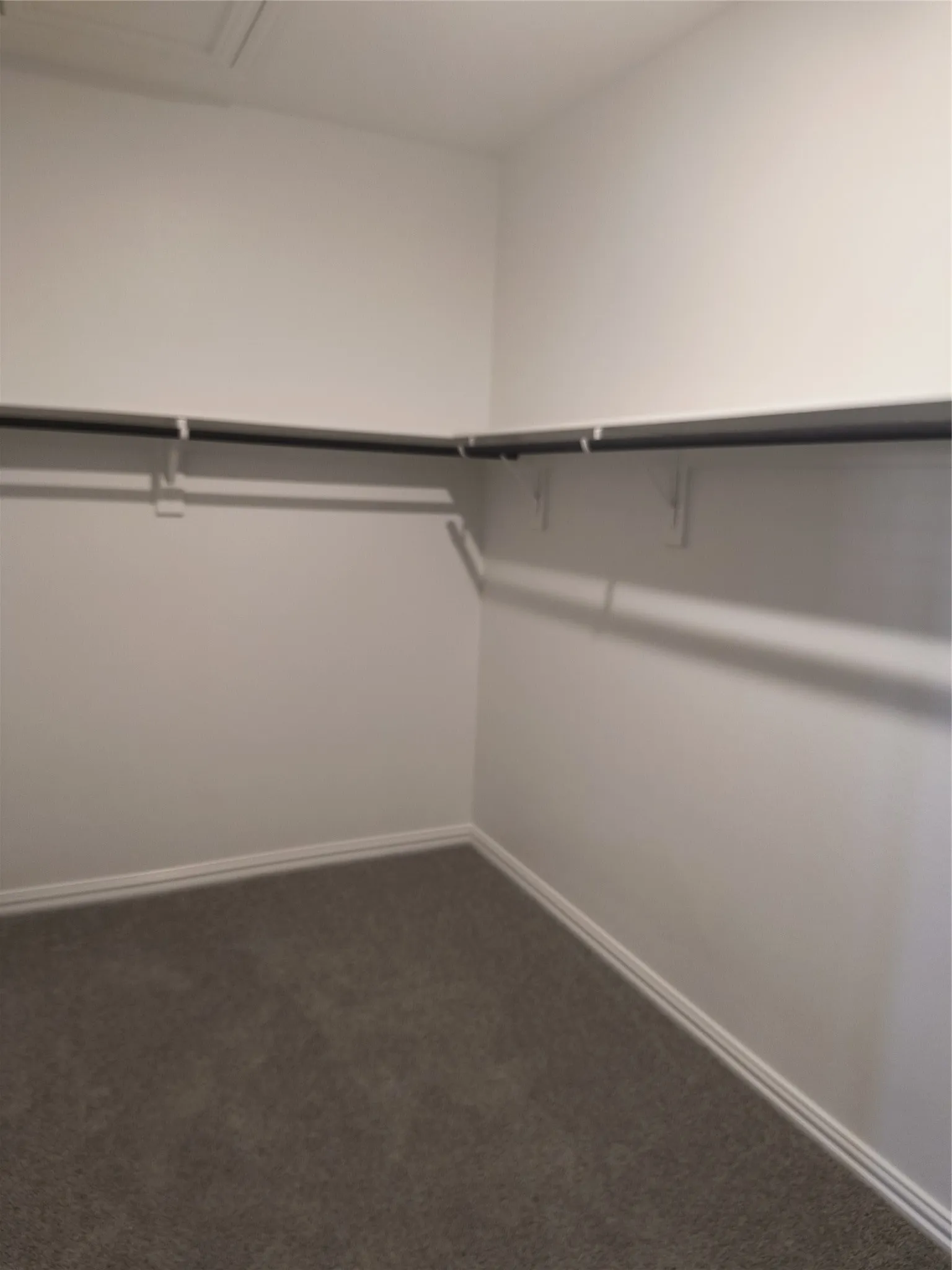 Built-in closet shelving with hanging rods, white walls, and gray carpeting