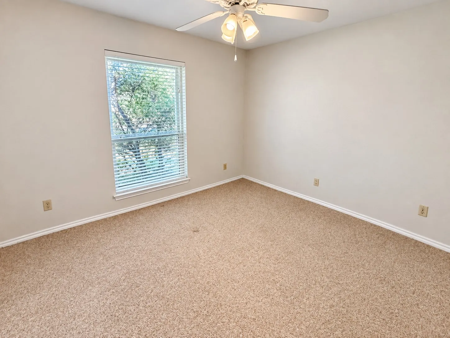 Neutral wall paint, window with blinds, ceiling fan with light fixture, and carpeted flooring