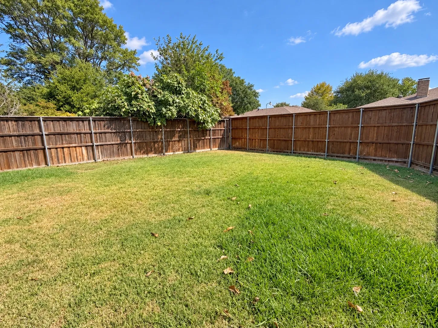 Expansive backyard featuring a wood privacy fence and a broad lawn area