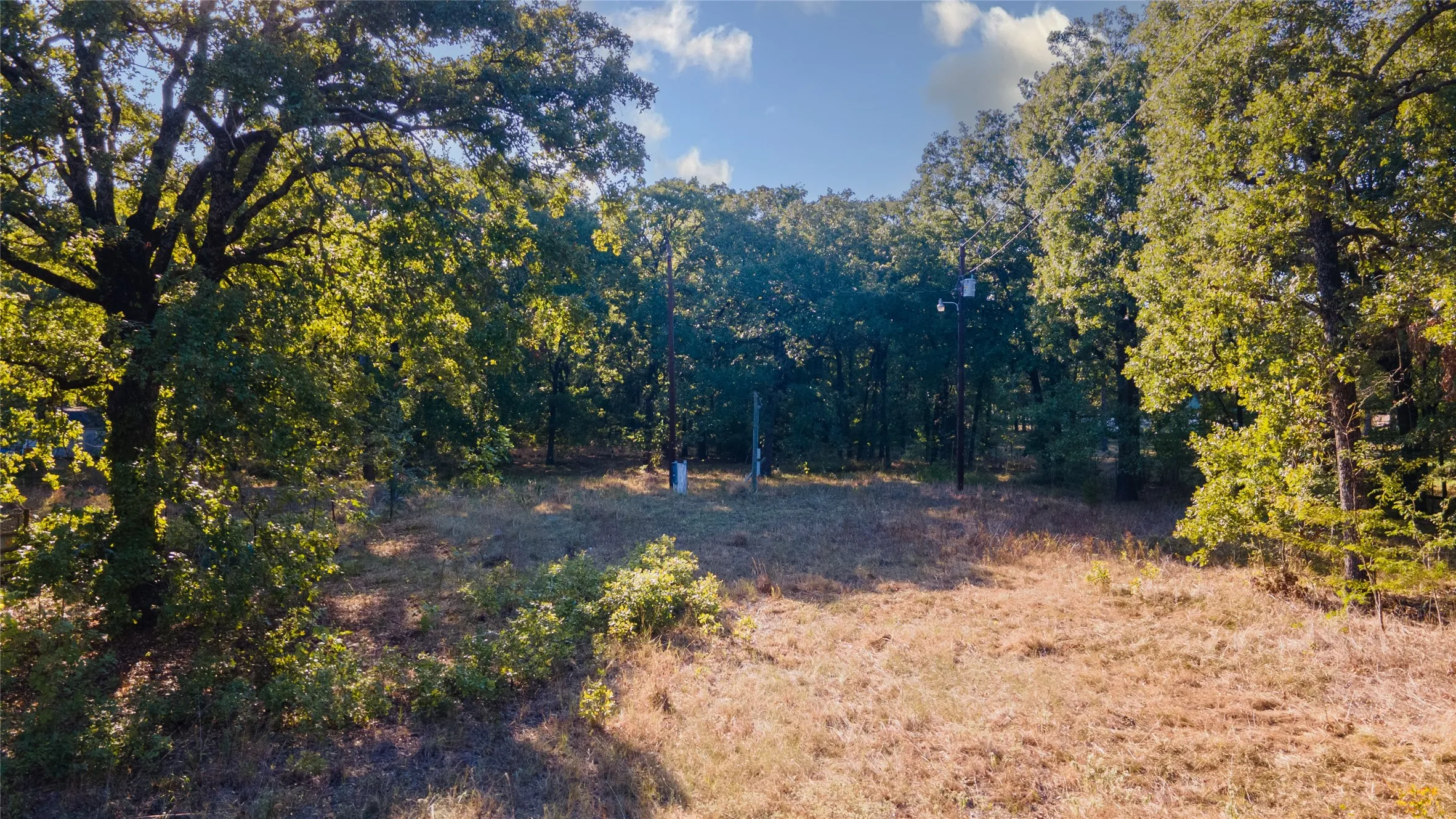 Unimproved Land For Sale in Rains County , 217 Rs County Road 1399, Point, Texas 75472, 0, 0, Garage spaces, 0 Sqft, built in 0, mls#21391075, Real Estate Agent in Point, Homes For Sale in Rains county, Homes For Sale in Point, Realtor in Point Texas, Real Estate Brokerage Independent Realty Texas, Luminita Cordes Realtor