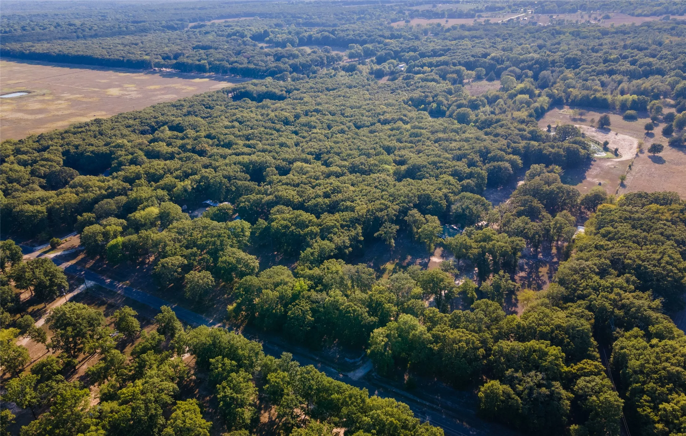 Unimproved Land For Sale in Rains County , 217 Rs County Road 1399, Point, Texas 75472, 0, 0, Garage spaces, 0 Sqft, built in 0, mls#21391075, Real Estate Agent in Point, Homes For Sale in Rains county, Homes For Sale in Point, Realtor in Point Texas, Real Estate Brokerage Independent Realty Texas, Luminita Cordes Realtor
