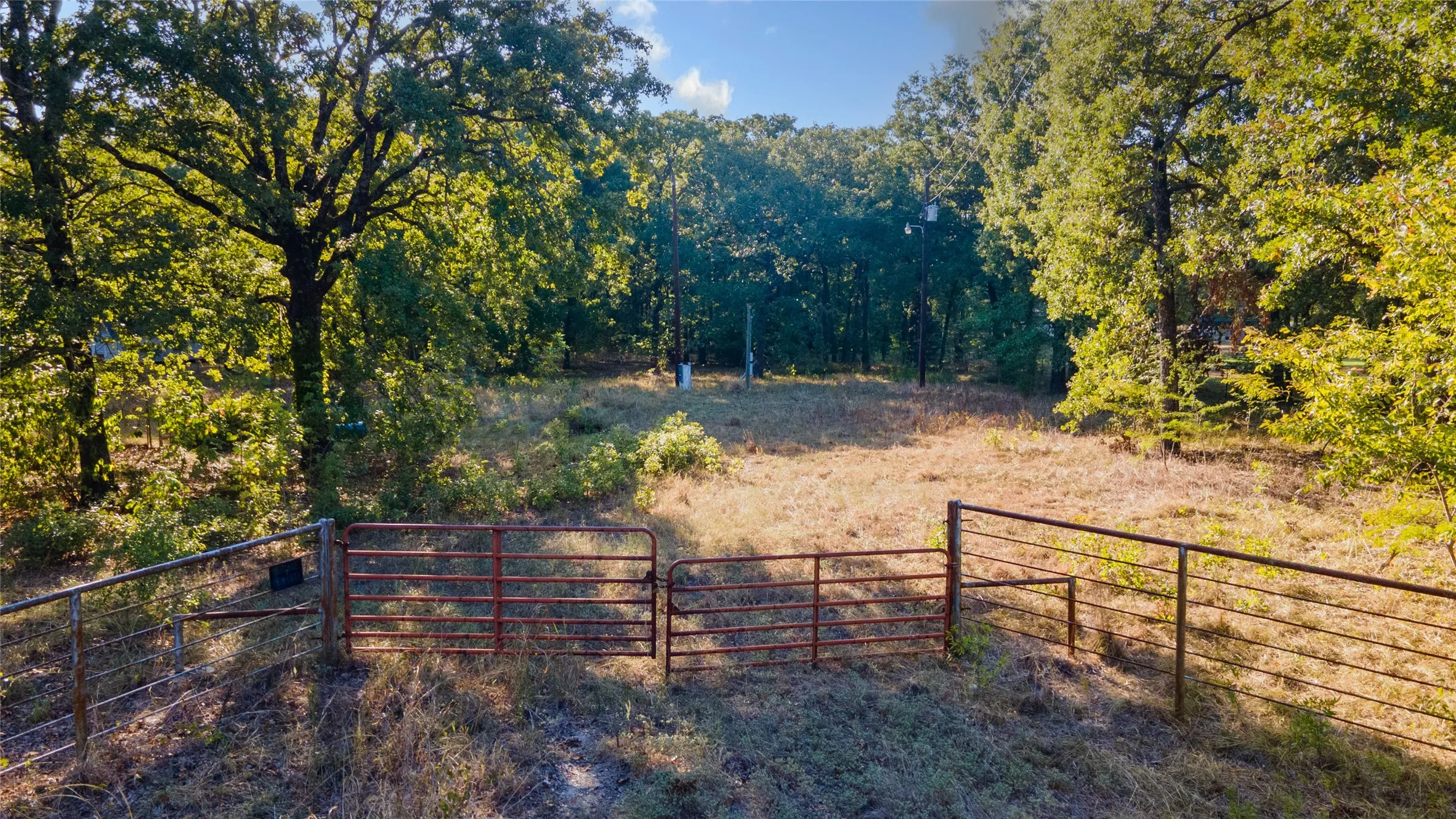Unimproved Land For Sale in Rains County , 217 Rs County Road 1399, Point, Texas 75472, 0, 0, Garage spaces, 0 Sqft, built in 0, mls#21391075, Real Estate Agent in Point, Homes For Sale in Rains county, Homes For Sale in Point, Realtor in Point Texas, Real Estate Brokerage Independent Realty Texas, Luminita Cordes Realtor
