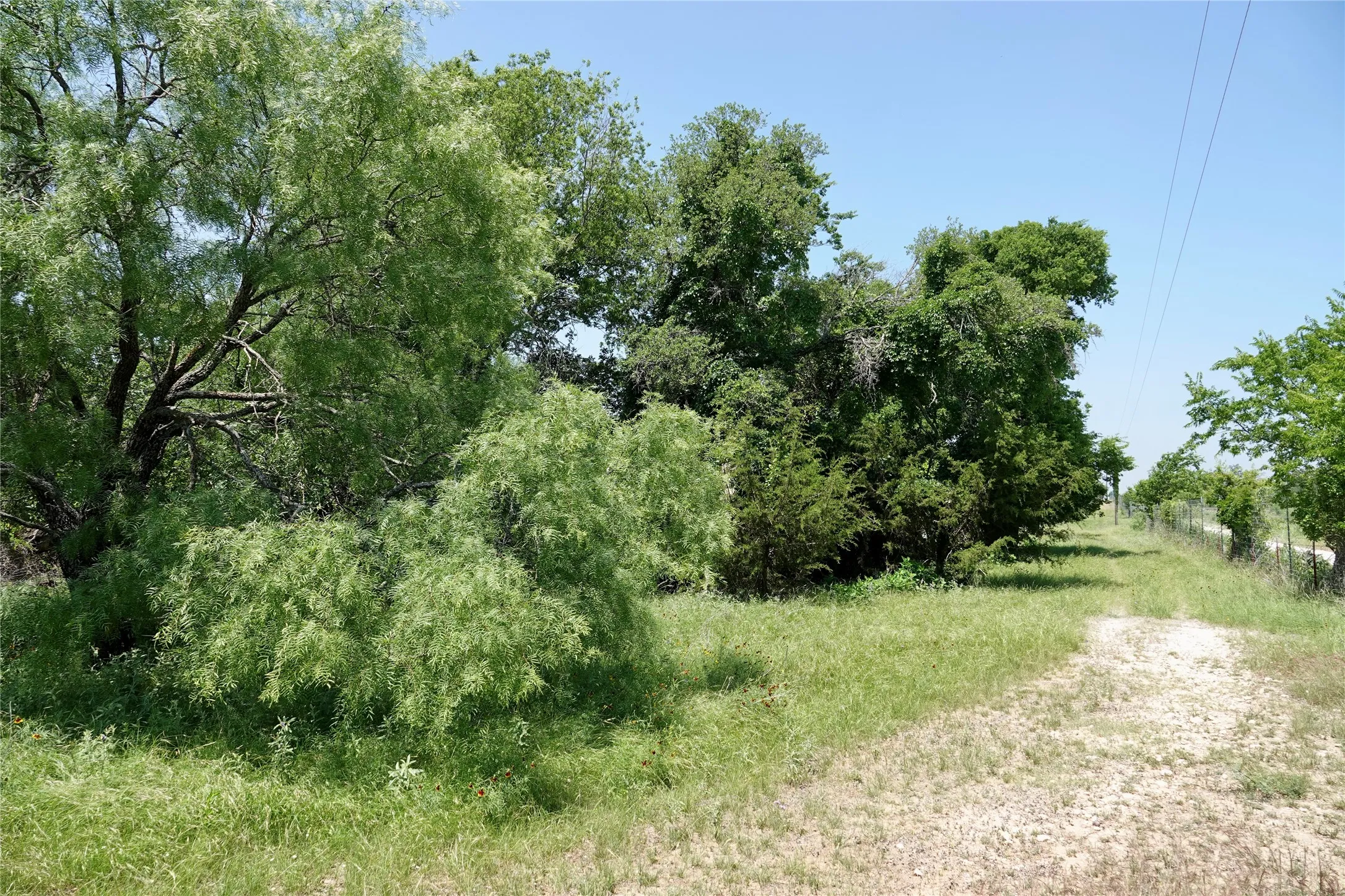Ranch For Sale in Mills County , 267 County Road 112, Mullin, Texas 76864, 0, 0, Garage spaces, 0 Sqft, built in 0, mls#21391089, Real Estate Agent in Mullin, Homes For Sale in Mills county, Homes For Sale in Mullin, Realtor in Mullin Texas, Real Estate Brokerage Independent Realty Texas, Luminita Cordes Realtor