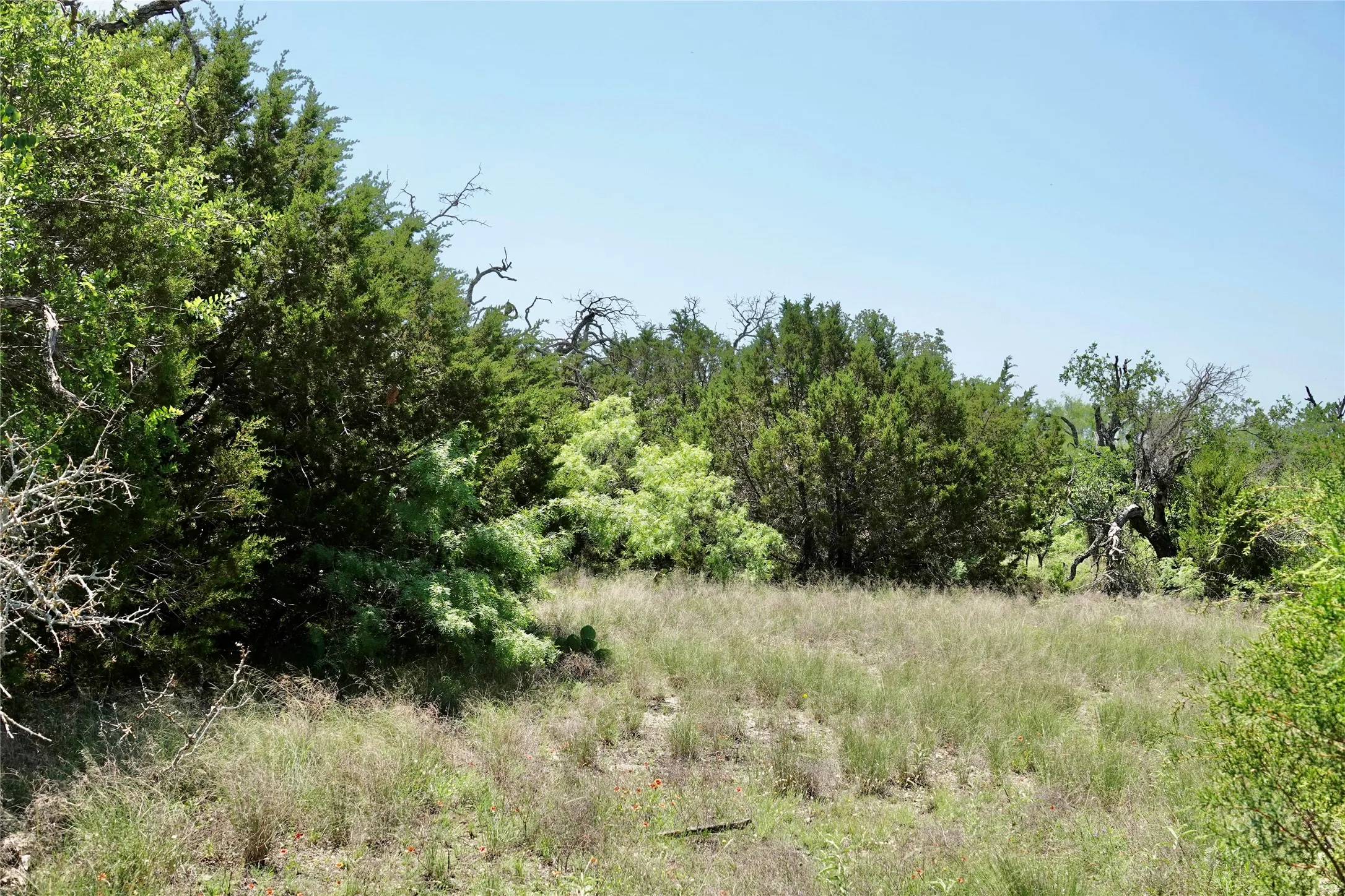Ranch For Sale in Mills County , 267 County Road 112, Mullin, Texas 76864, 0, 0, Garage spaces, 0 Sqft, built in 0, mls#21391089, Real Estate Agent in Mullin, Homes For Sale in Mills county, Homes For Sale in Mullin, Realtor in Mullin Texas, Real Estate Brokerage Independent Realty Texas, Luminita Cordes Realtor