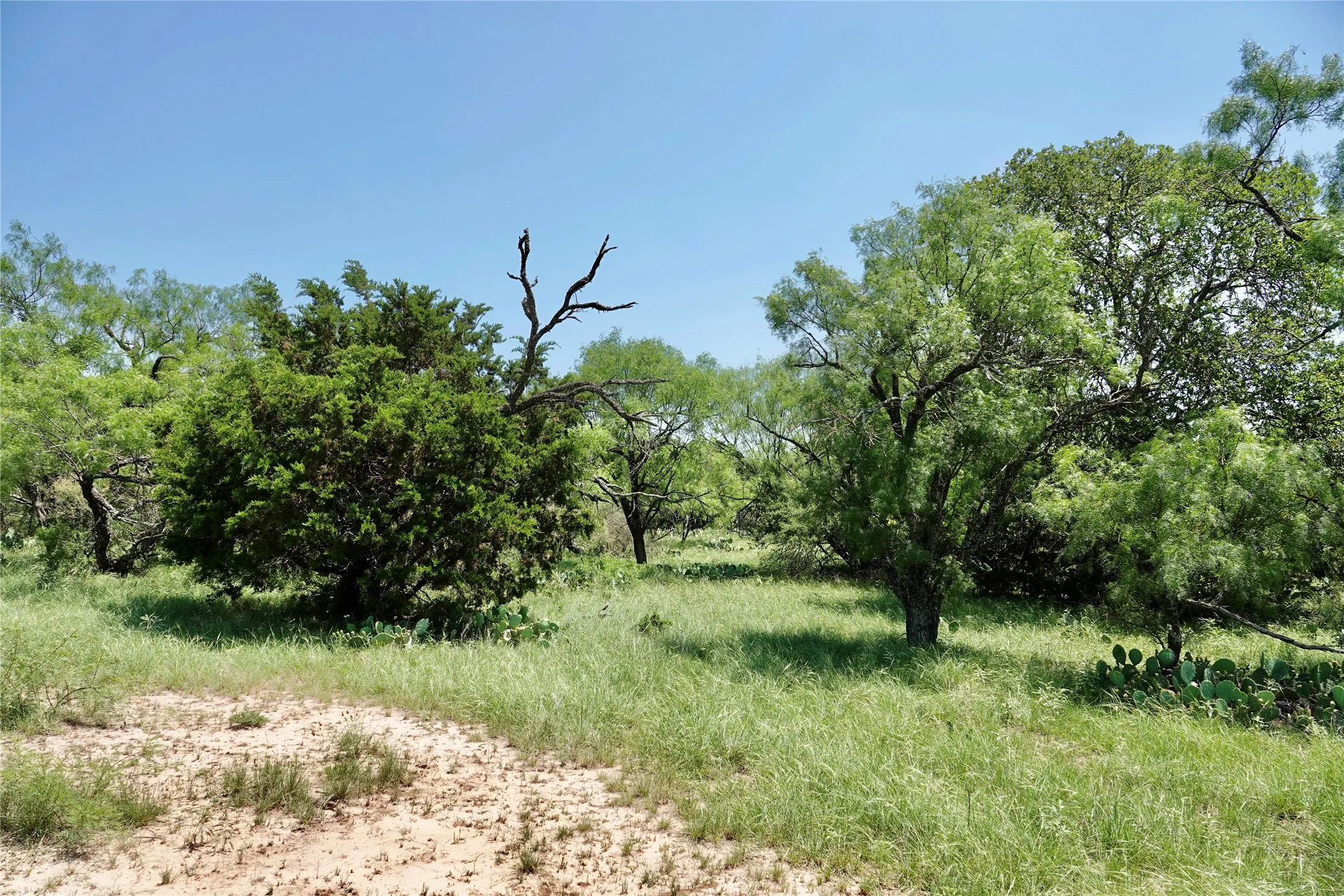 Ranch For Sale in Mills County , 267 County Road 112, Mullin, Texas 76864, 0, 0, Garage spaces, 0 Sqft, built in 0, mls#21391089, Real Estate Agent in Mullin, Homes For Sale in Mills county, Homes For Sale in Mullin, Realtor in Mullin Texas, Real Estate Brokerage Independent Realty Texas, Luminita Cordes Realtor
