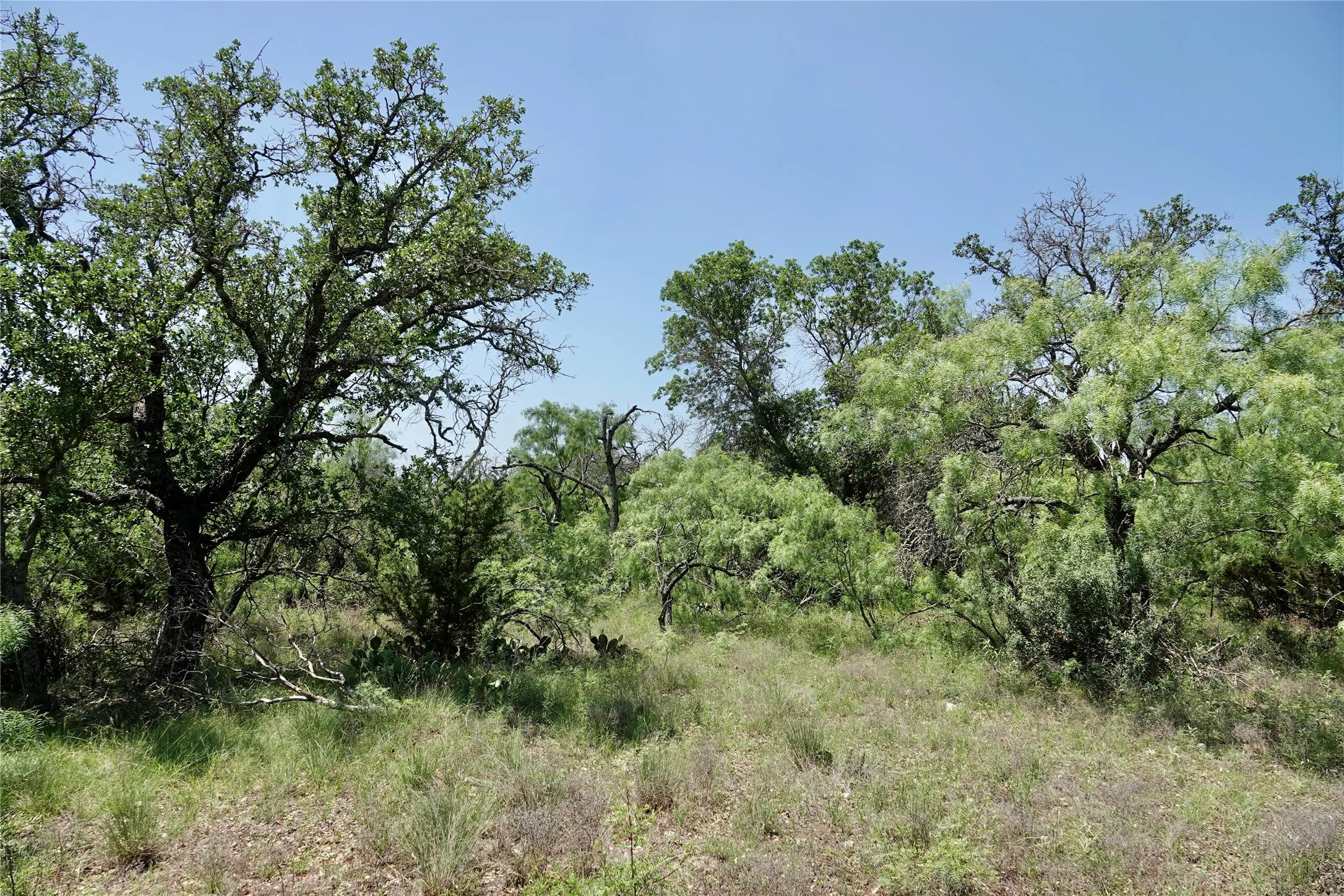Ranch For Sale in Mills County , 267 County Road 112, Mullin, Texas 76864, 0, 0, Garage spaces, 0 Sqft, built in 0, mls#21391089, Real Estate Agent in Mullin, Homes For Sale in Mills county, Homes For Sale in Mullin, Realtor in Mullin Texas, Real Estate Brokerage Independent Realty Texas, Luminita Cordes Realtor