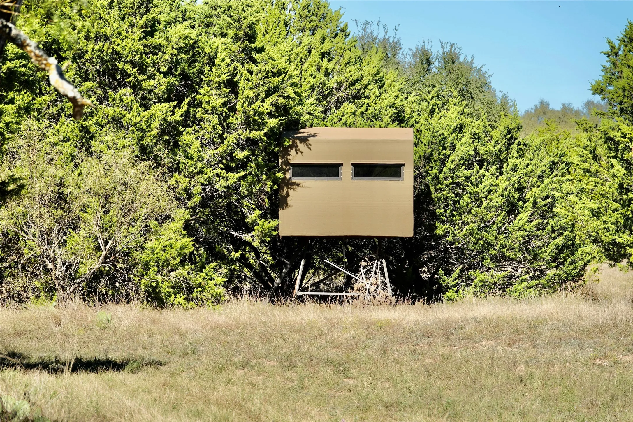 Ranch For Sale in Mills County , 267 County Road 112, Mullin, Texas 76864, 0, 0, Garage spaces, 0 Sqft, built in 0, mls#21391089, Real Estate Agent in Mullin, Homes For Sale in Mills county, Homes For Sale in Mullin, Realtor in Mullin Texas, Real Estate Brokerage Independent Realty Texas, Luminita Cordes Realtor