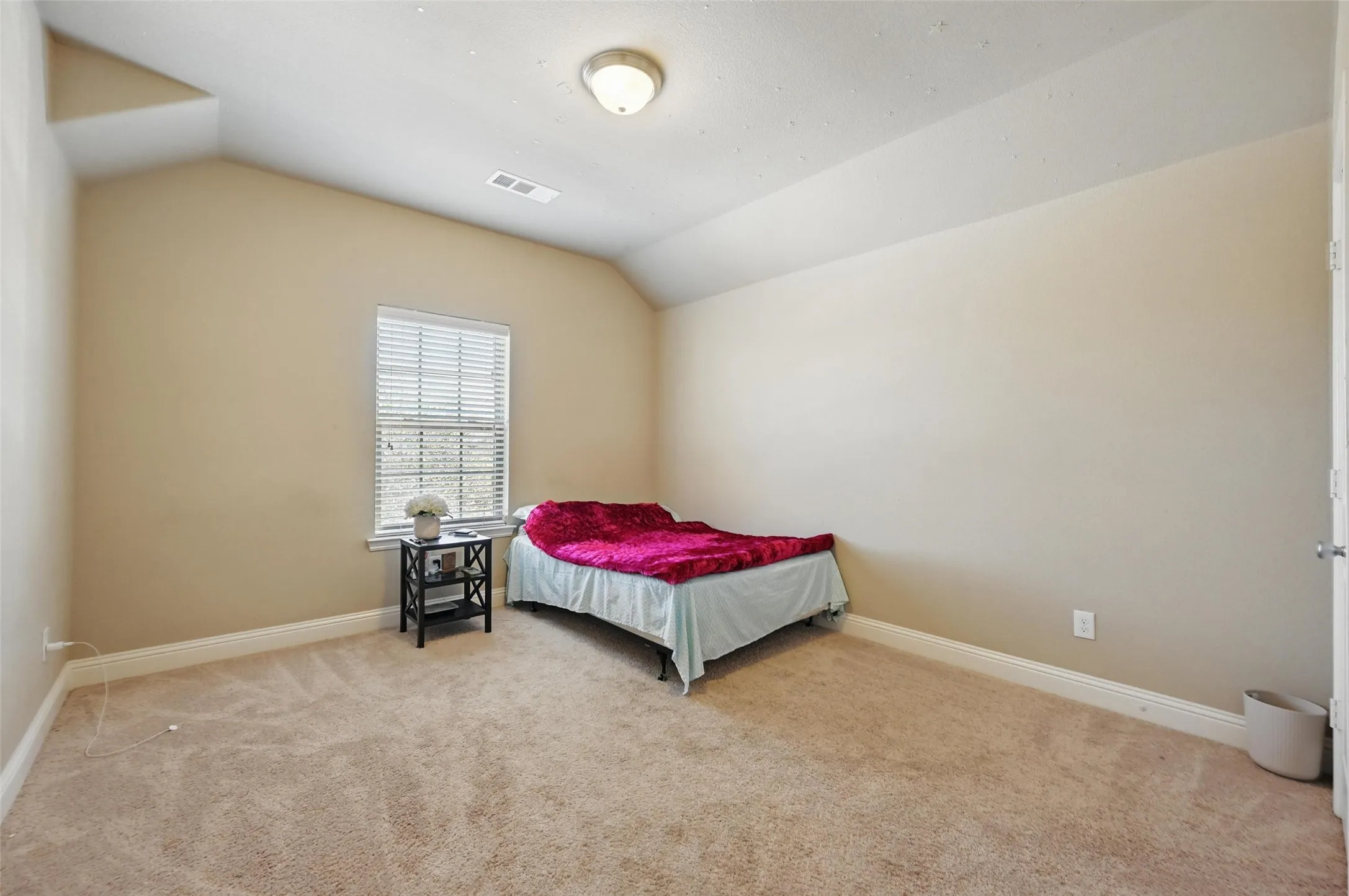 Carpeted room with a single window, white window blinds, and sloped ceiling details