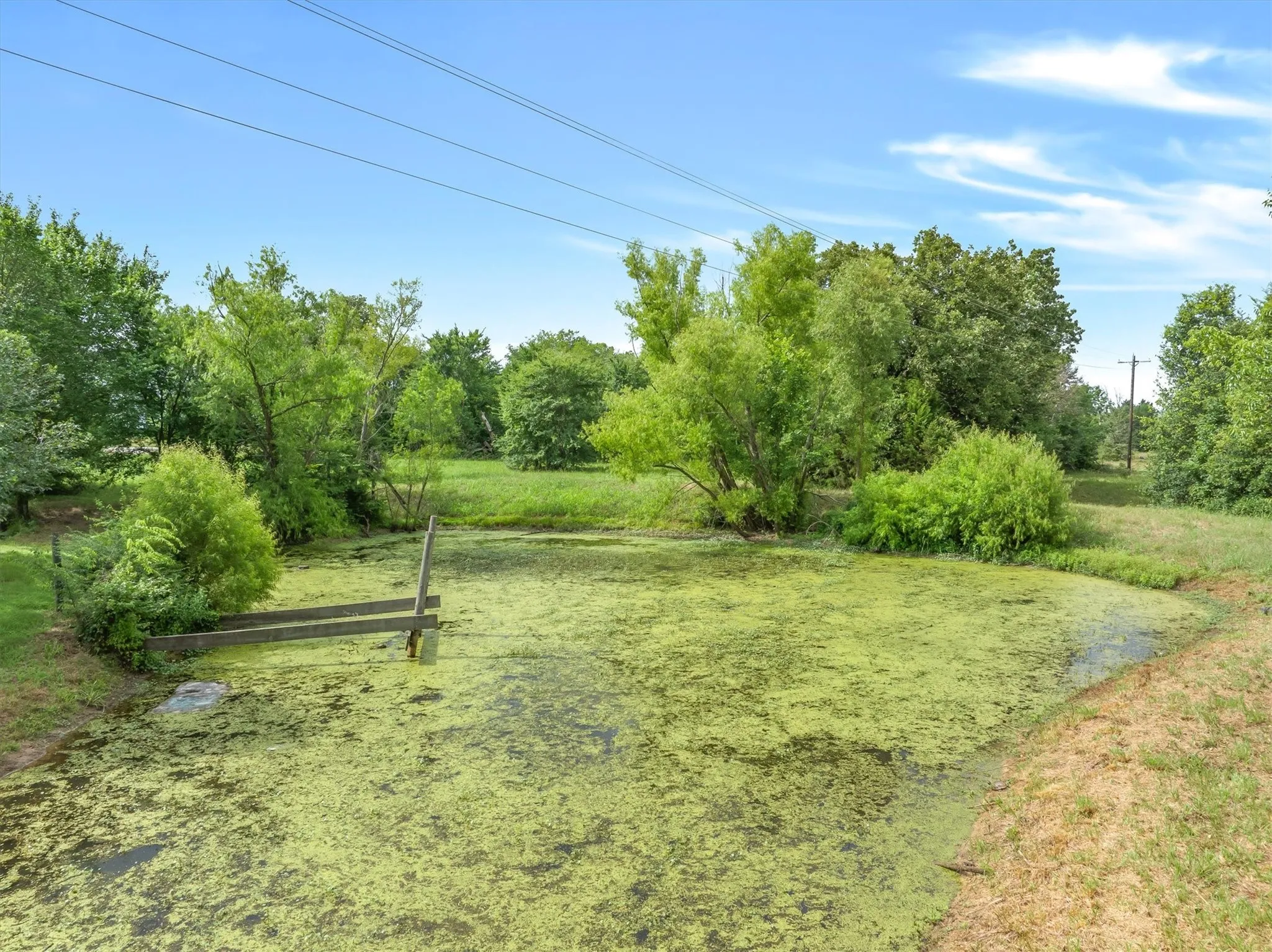 Single Family Residence For Sale in Van Zandt County , 11286 FM 17, Grand Saline, Texas 75140, 3 Bedroom, 3 Bathroom, Garage spaces, 2,400 Sqft, built in 2017, mls#21391127, Real Estate Agent in Grand Saline, Homes For Sale in Van Zandt county, Homes For Sale in Grand Saline, Realtor in Grand Saline Texas, Real Estate Brokerage Independent Realty Texas, Luminita Cordes Realtor
