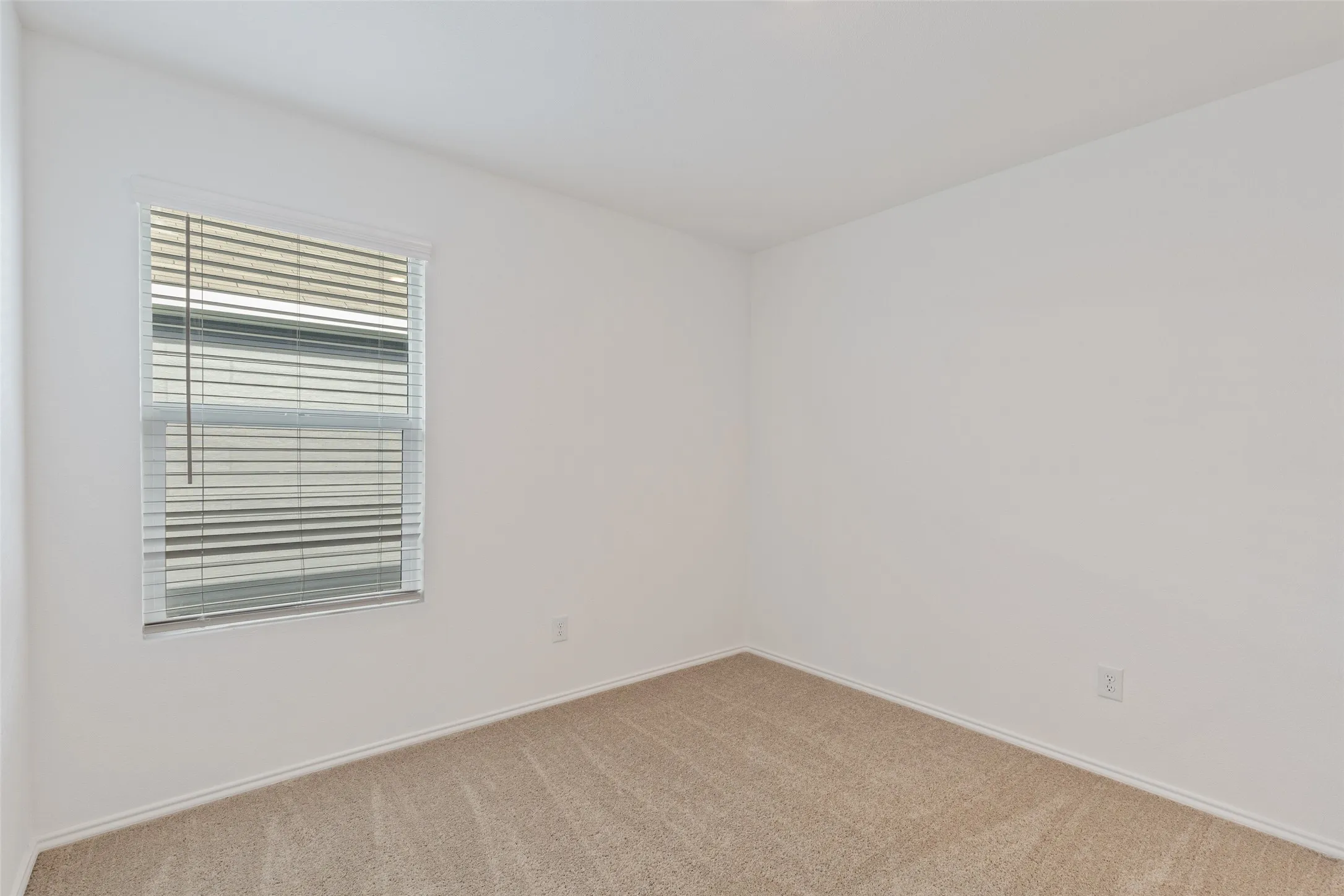 Neutral-toned carpeting, white walls, and a window with horizontal blinds