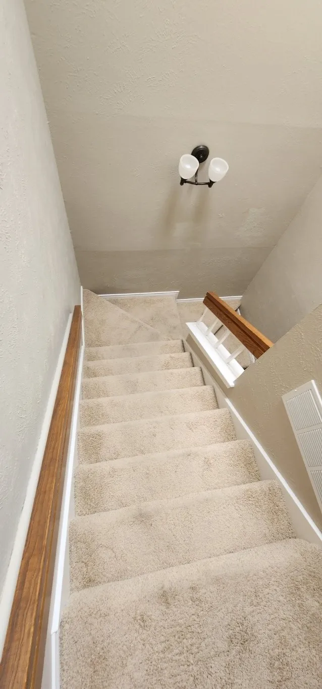 Carpeted staircase with wood-finish handrails and a built-in ceiling light fixture