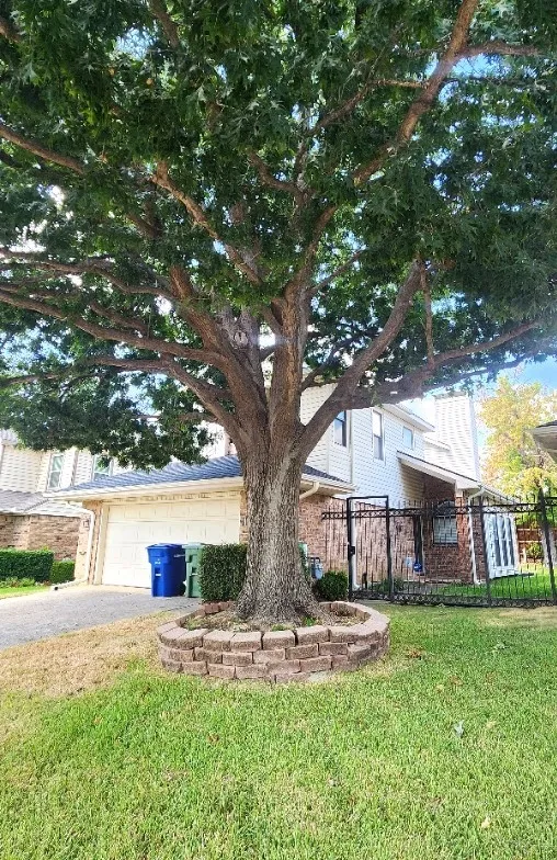 Mature tree with a brick retaining wall and lush green lawn