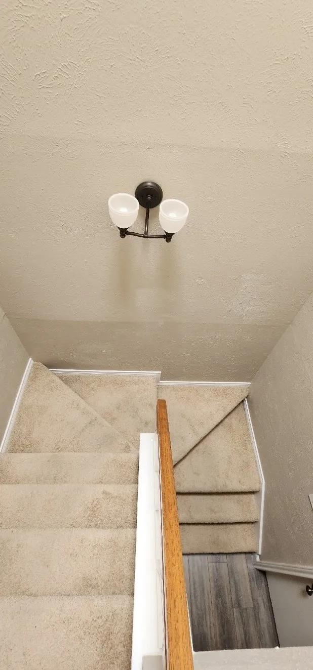 Carpeted staircase with wood-finish handrail, white baluster, and a two-light flush-mount fixture