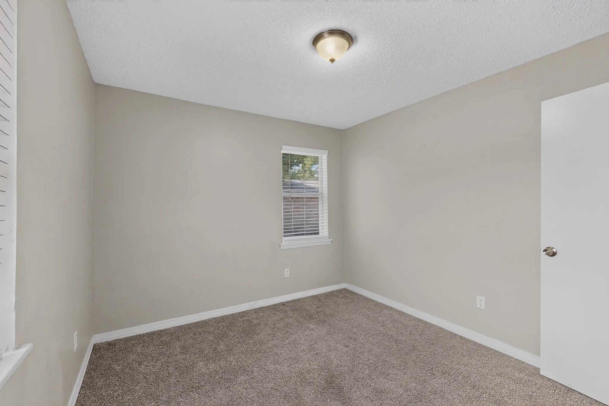 Neutral paint palette with textured carpeting, a single window, and a ceiling-mounted light fixture