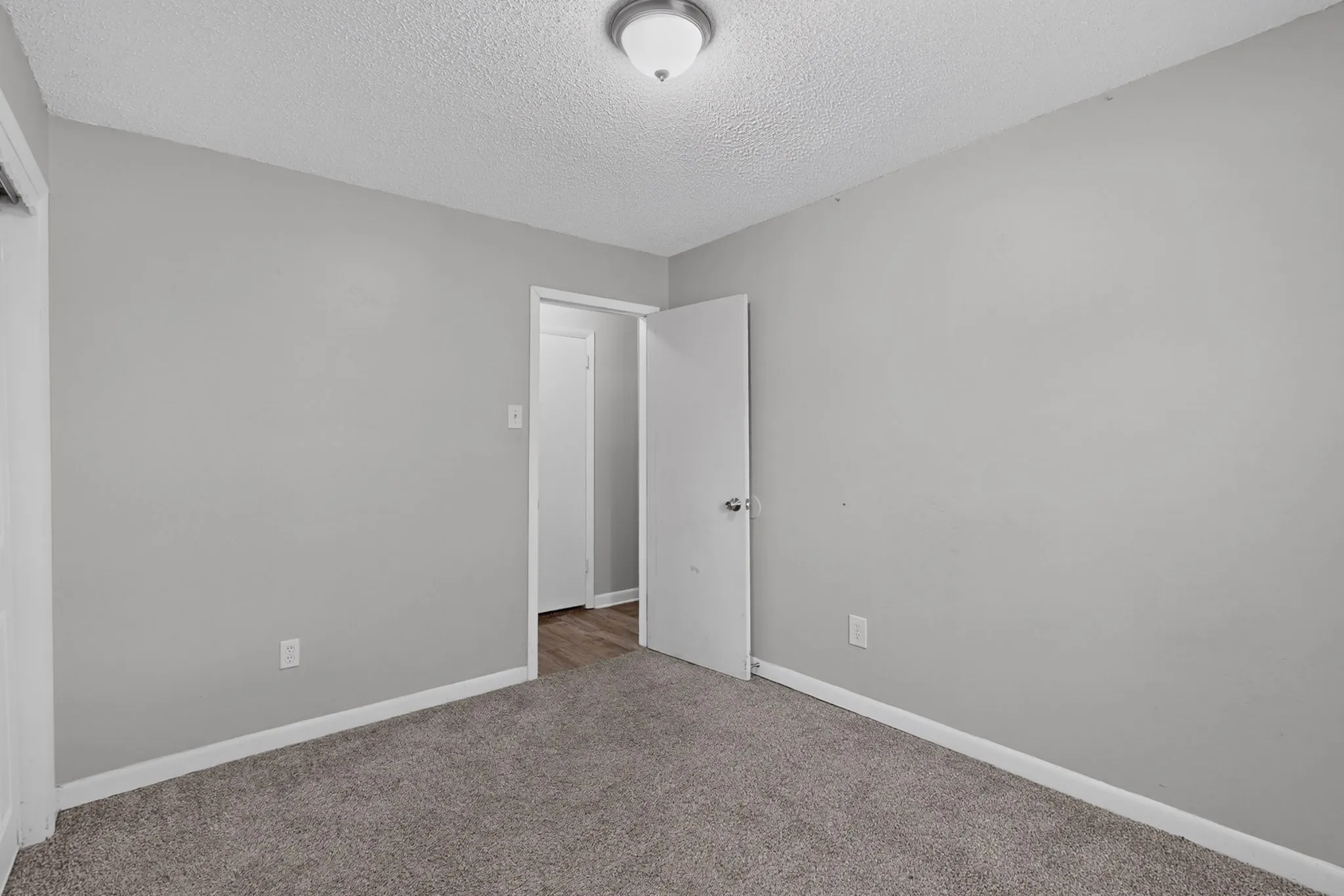 Neutral gray wall paint with white trim, gray carpet flooring, and a flush mount ceiling light fixture