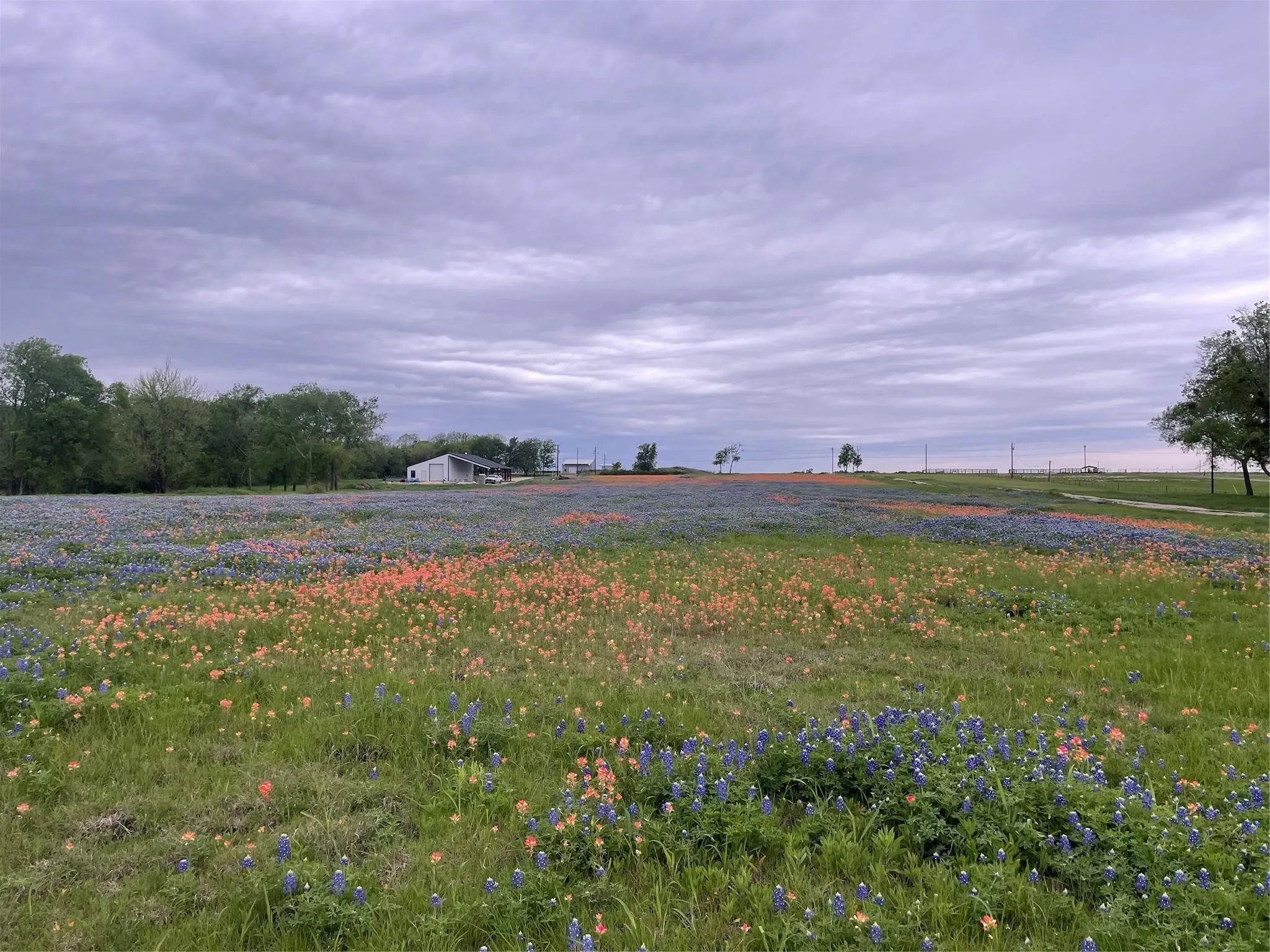 Unimproved Land For Sale in Ellis County , 254 N Cooke Road, Ennis, Texas 75119, 0, 0, Garage spaces, 0 Sqft, built in 0, mls#21389957, Real Estate Agent in Ennis, Homes For Sale in Ellis county, Homes For Sale in Ennis, Realtor in Ennis Texas, Real Estate Brokerage Independent Realty Texas, Luminita Cordes Realtor