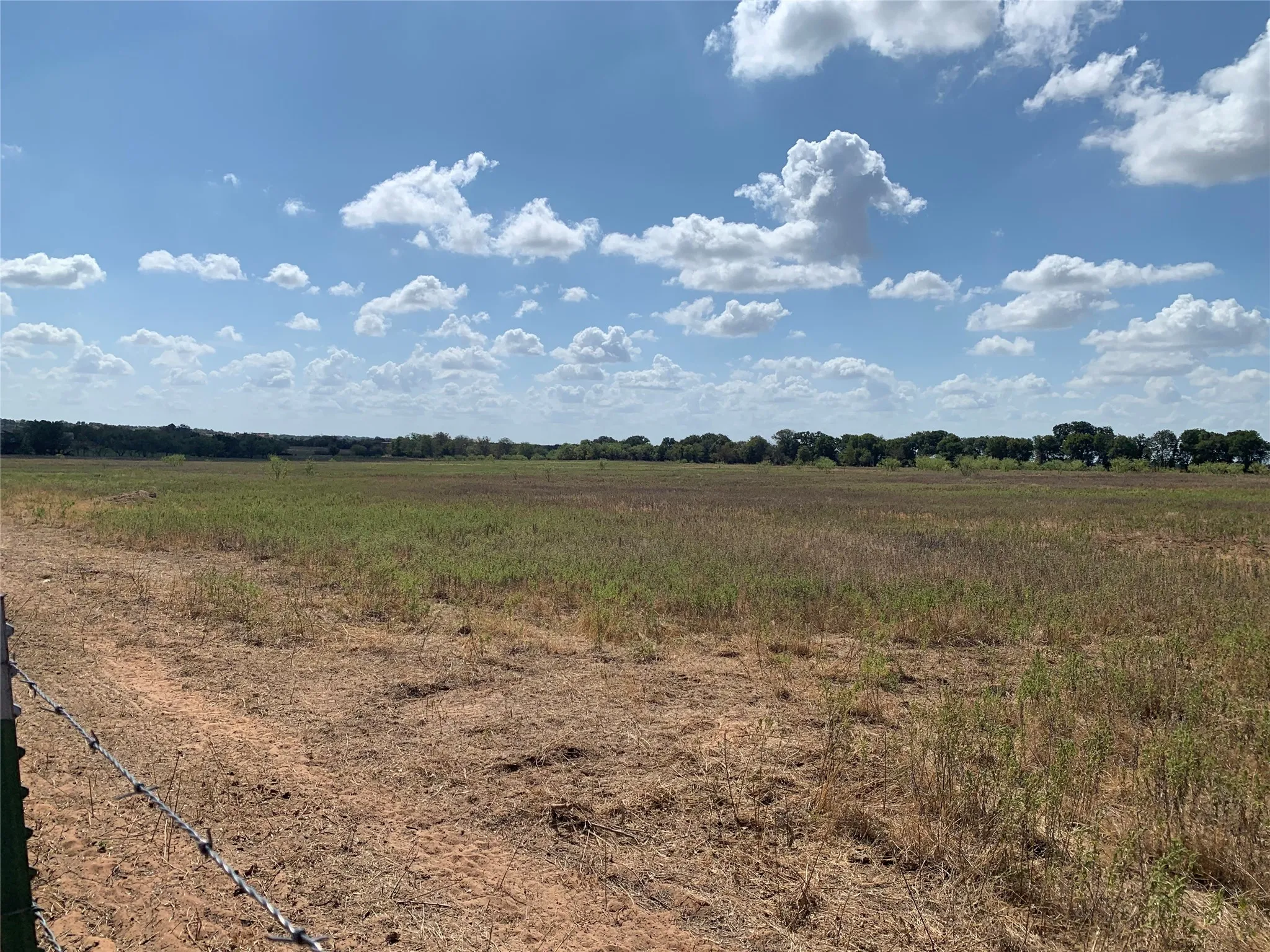 Expansive open land with varying ground cover, bordered by distant mature trees