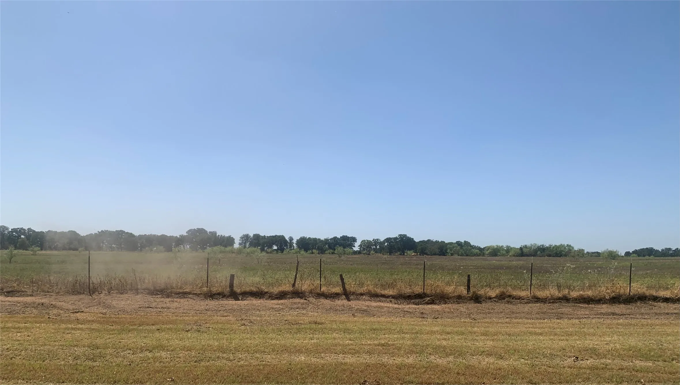 Open Field with native grass