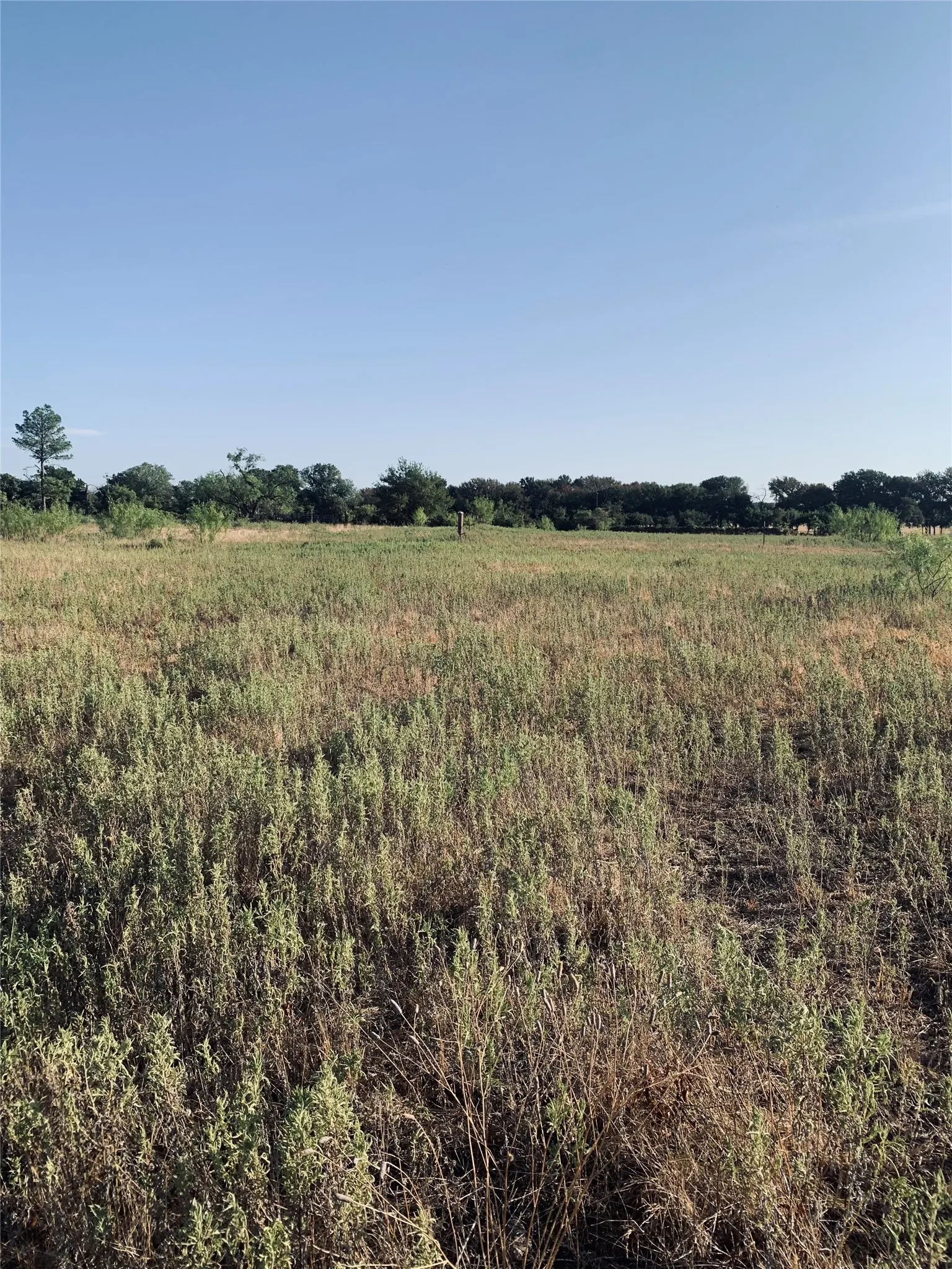 Expansive open terrain with natural ground cover
