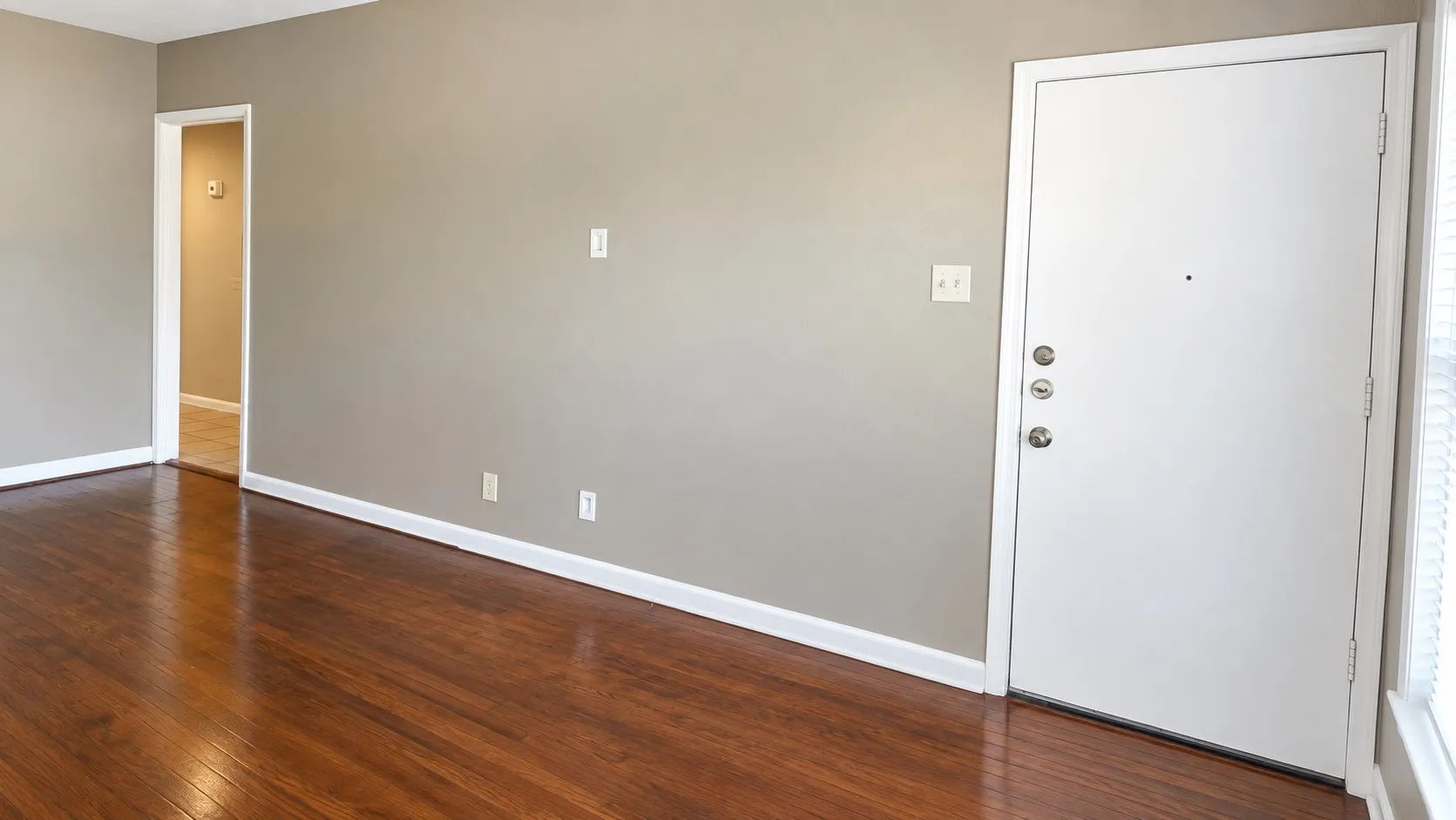 Wood-finish flooring, neutral wall paint, white trim, and a white entrance door