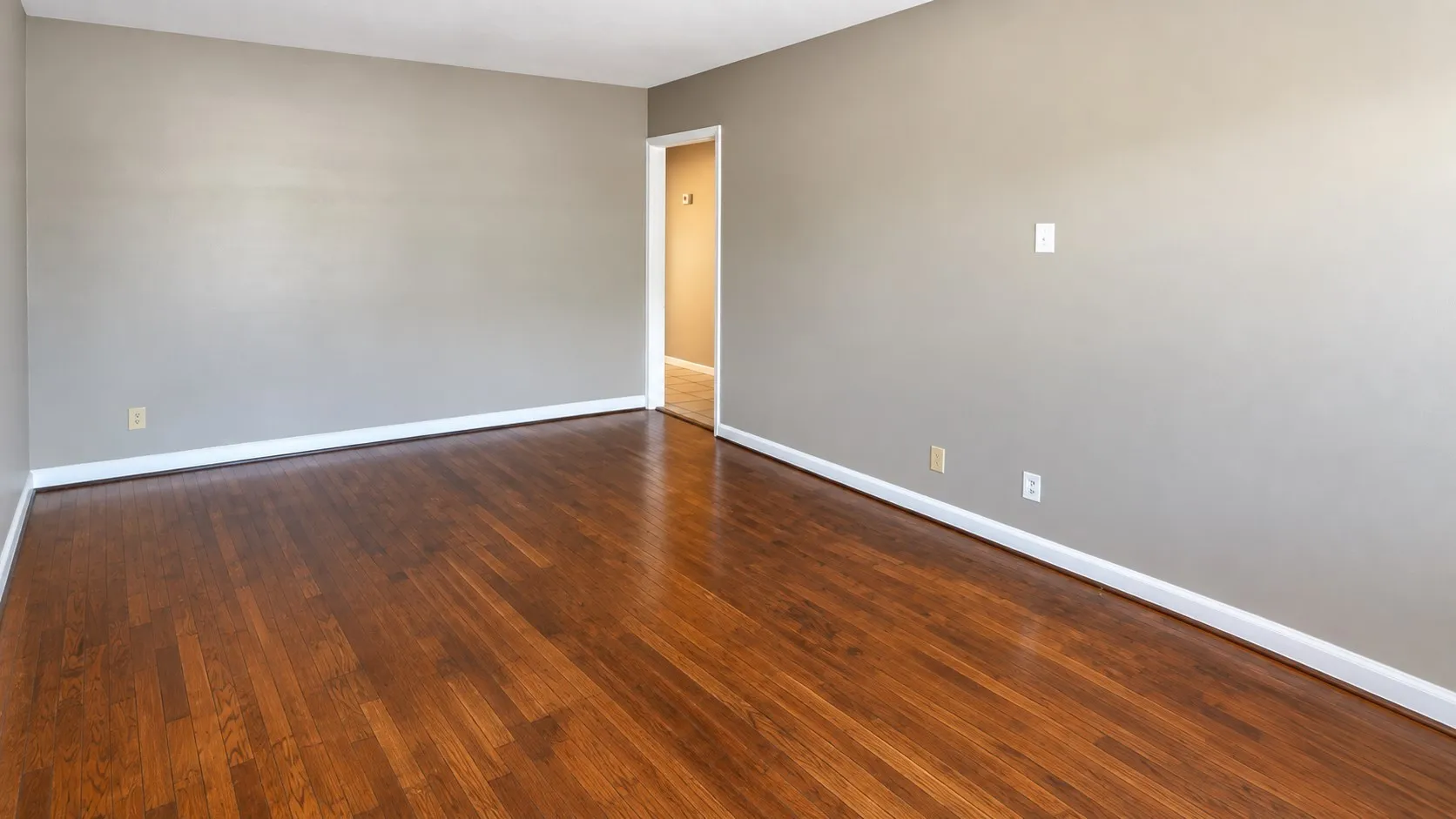 Hardwood flooring, light gray walls, white trim, and a bright doorway