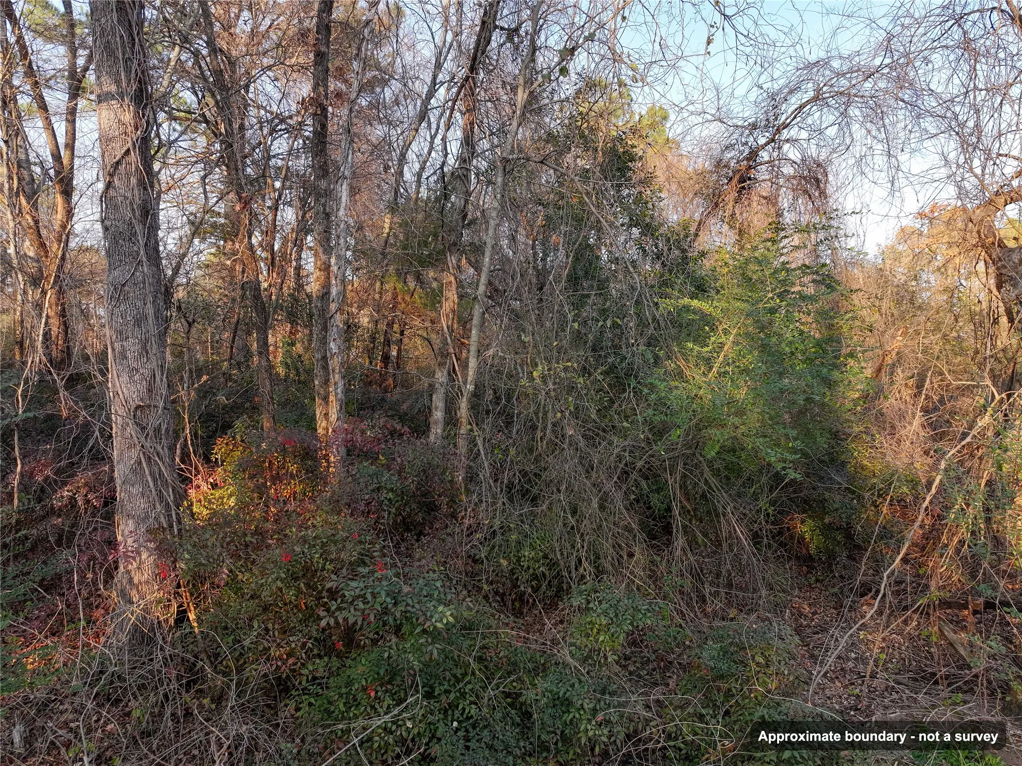 Ranch For Sale in Wood County , 144 Circle Drive, Quitman, Texas 75783, 0, 0, Garage spaces, 0 Sqft, built in 0, mls#21391170, Real Estate Agent in Quitman, Homes For Sale in Wood county, Homes For Sale in Quitman, Realtor in Quitman Texas, Real Estate Brokerage Independent Realty Texas, Luminita Cordes Realtor